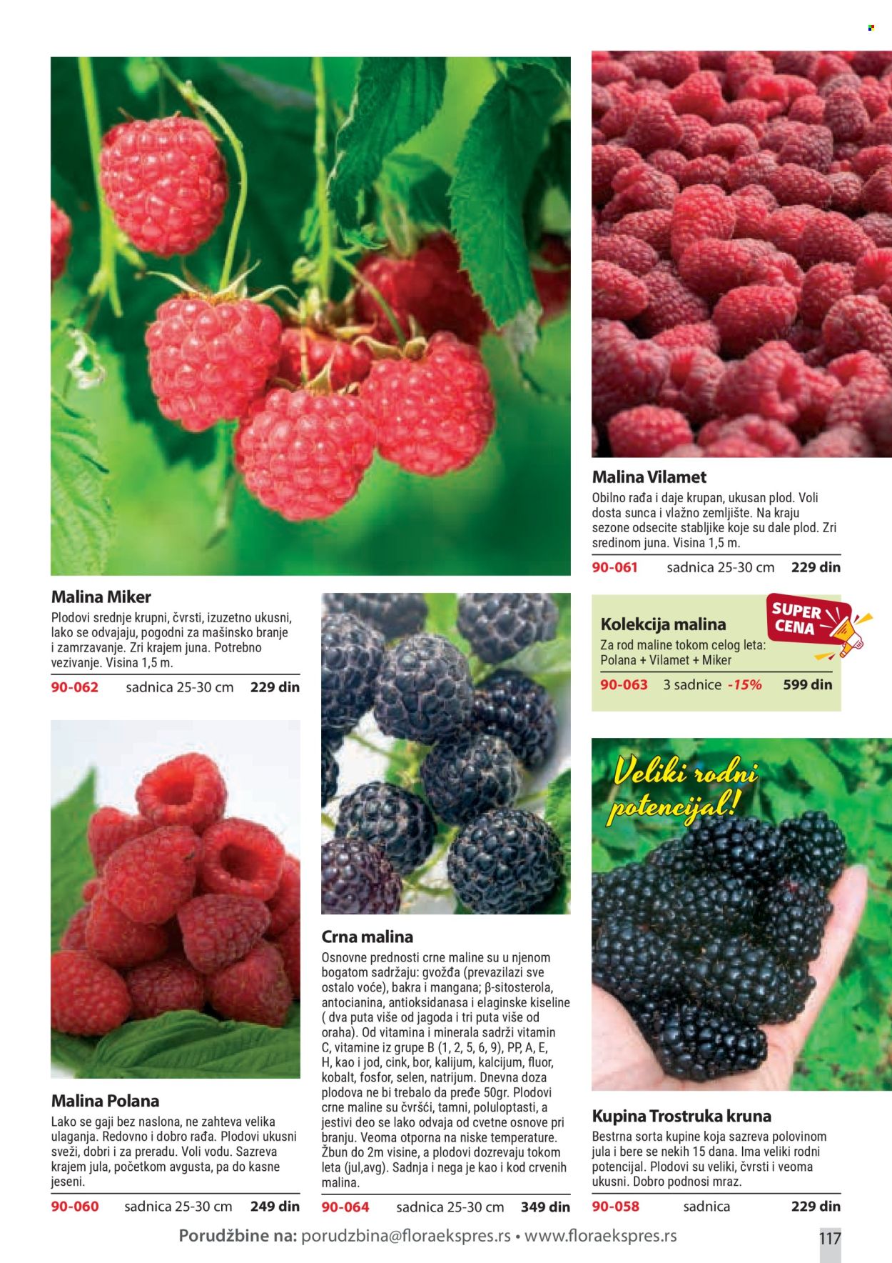 flora-ekspres - Flora Ekspres katalog februar 2026 - page: 117
