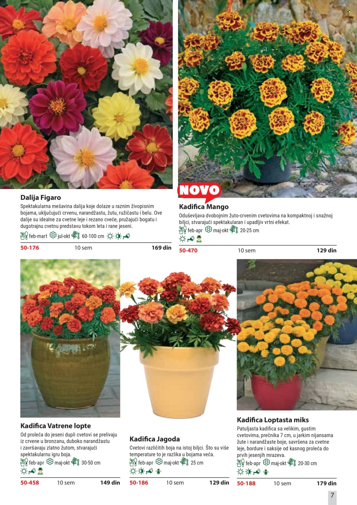 flora-ekspres - Flora Ekspres katalog februar 2026 - page: 7