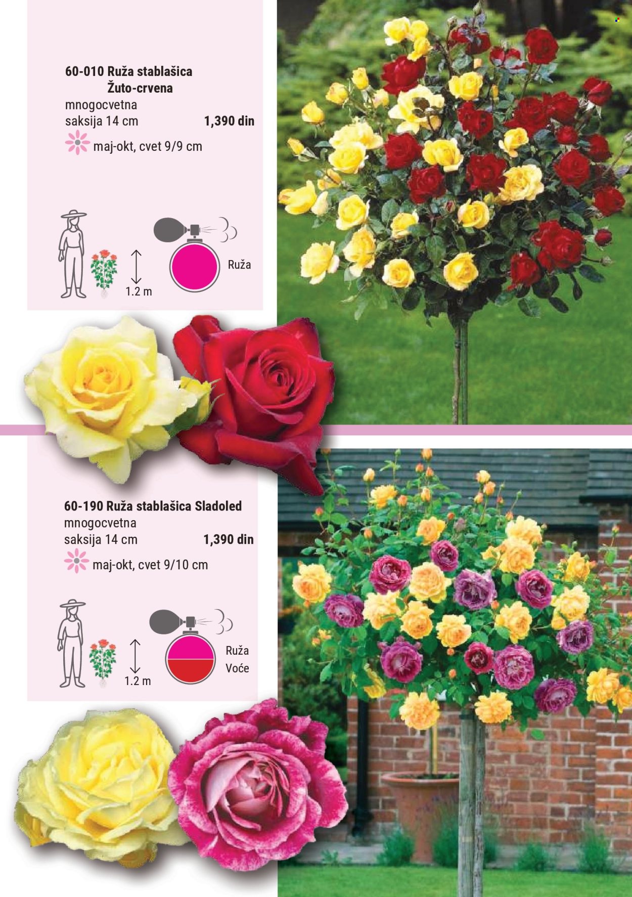 flora-ekspres - Flora Ekspres katalog mart 2026 - page: 52