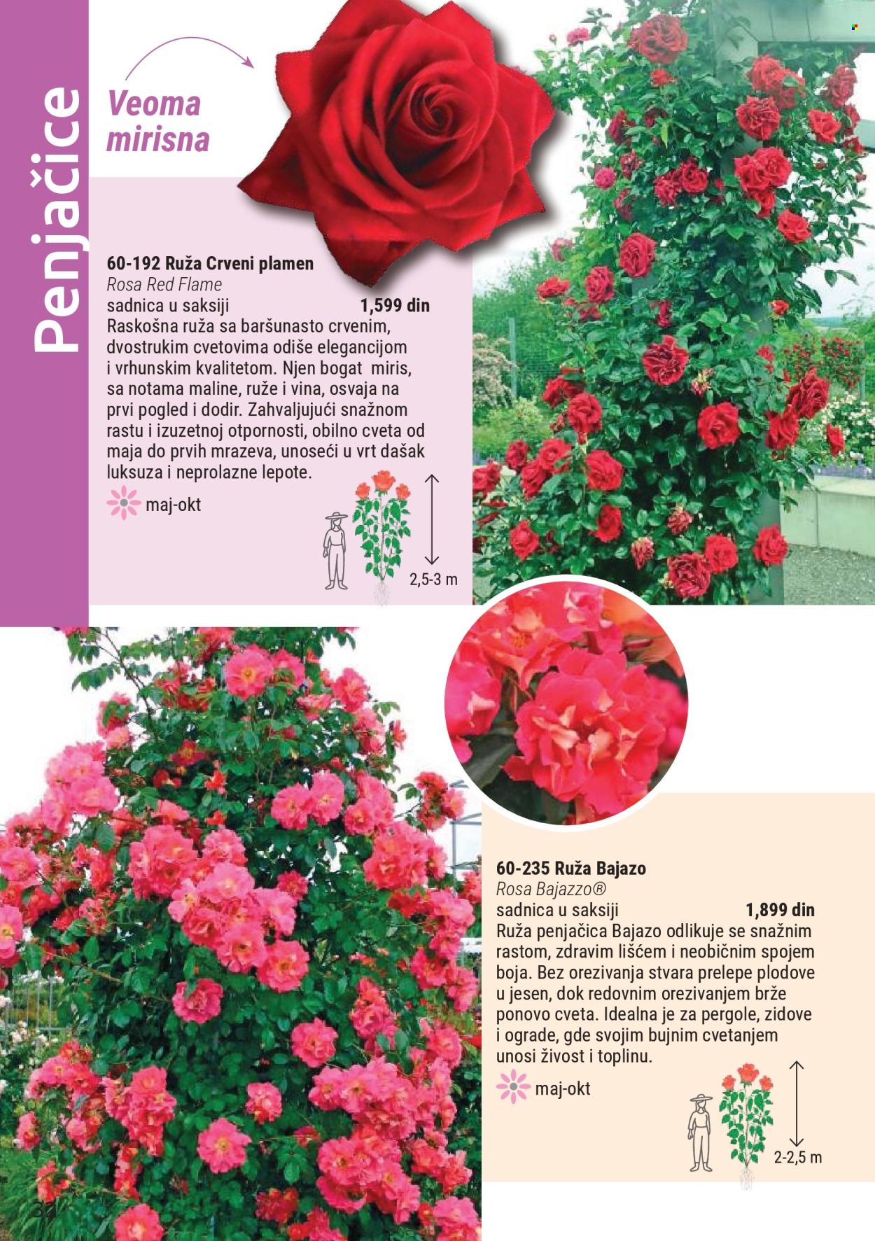 flora-ekspres - Flora Ekspres katalog mart 2026 - page: 32