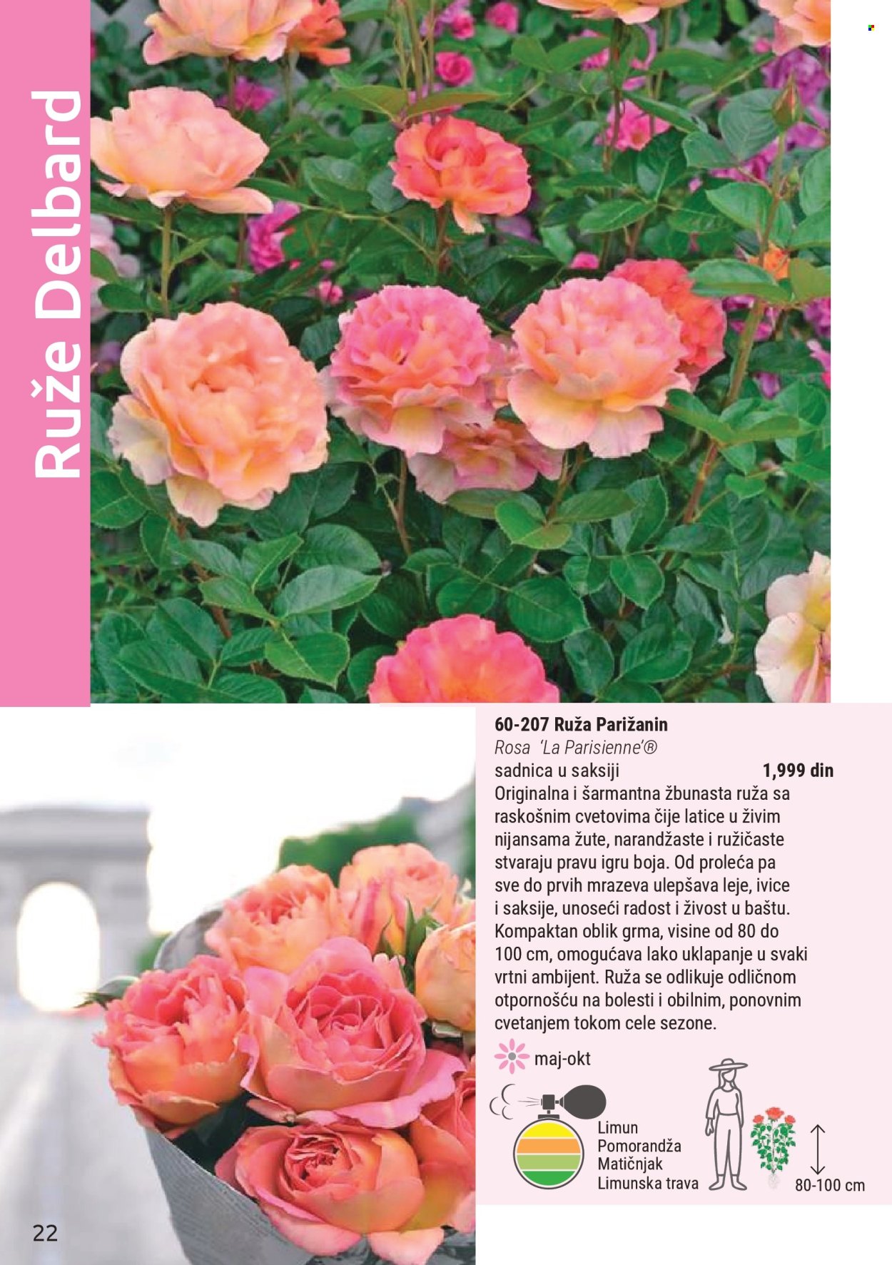 flora-ekspres - Flora Ekspres katalog mart 2026 - page: 22