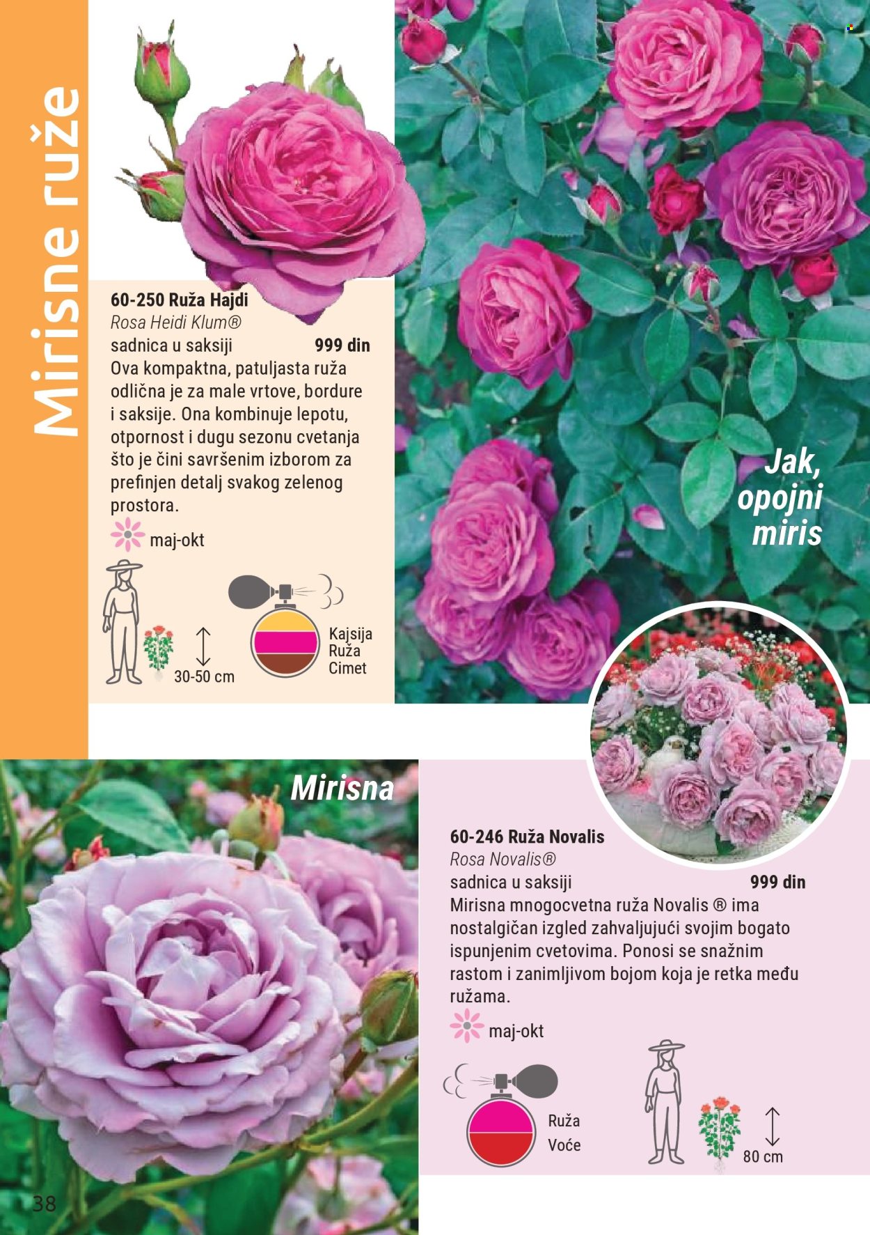 flora-ekspres - Flora Ekspres katalog mart 2026 - page: 38