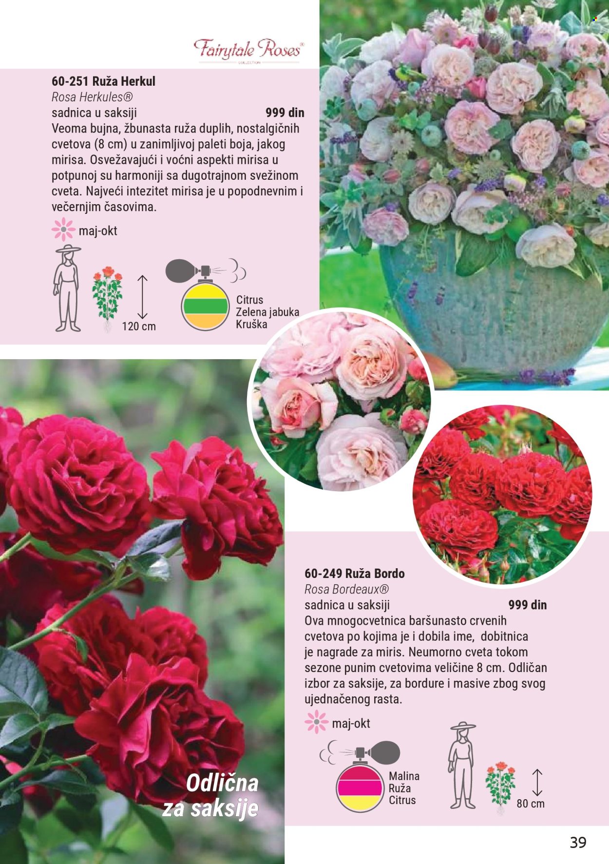 flora-ekspres - Flora Ekspres katalog mart 2026 - page: 39