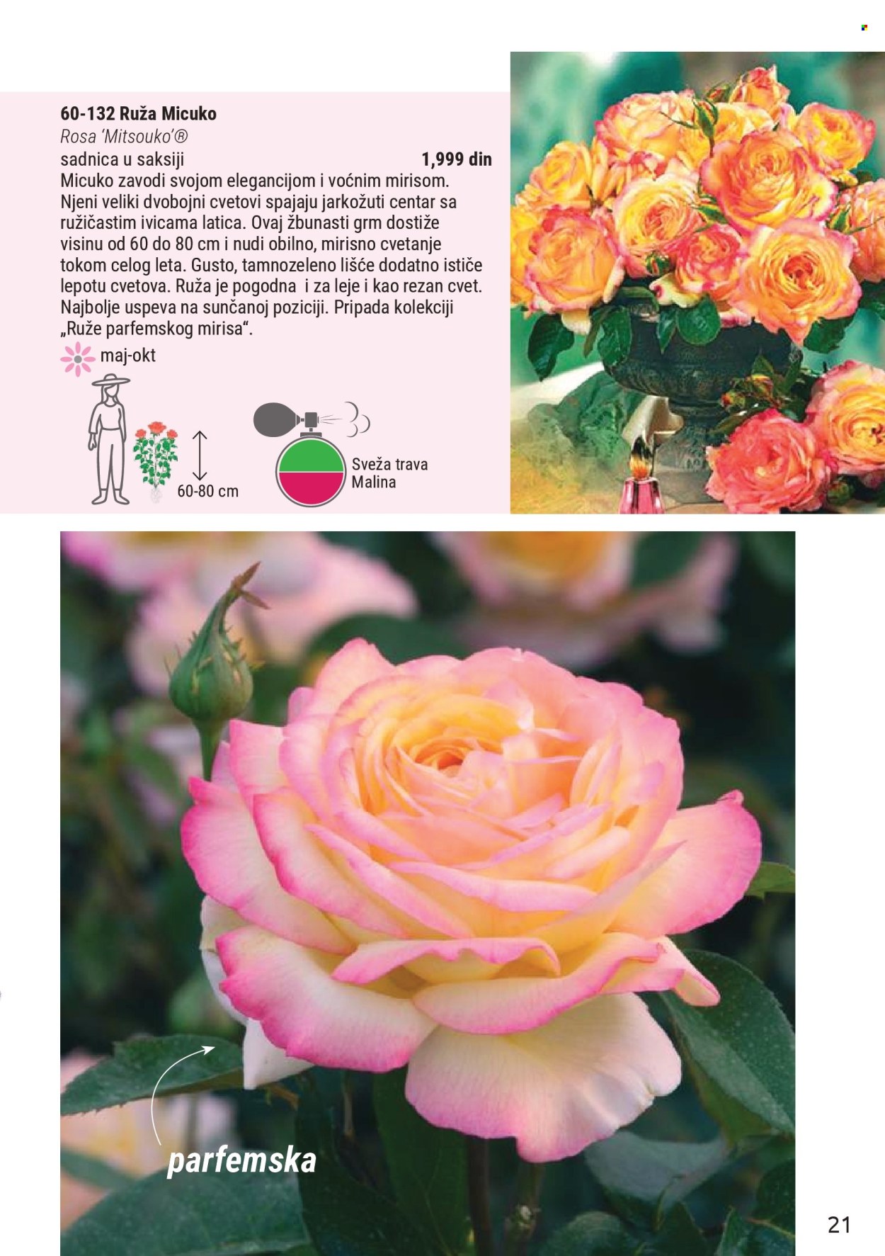 flora-ekspres - Flora Ekspres katalog mart 2026 - page: 21