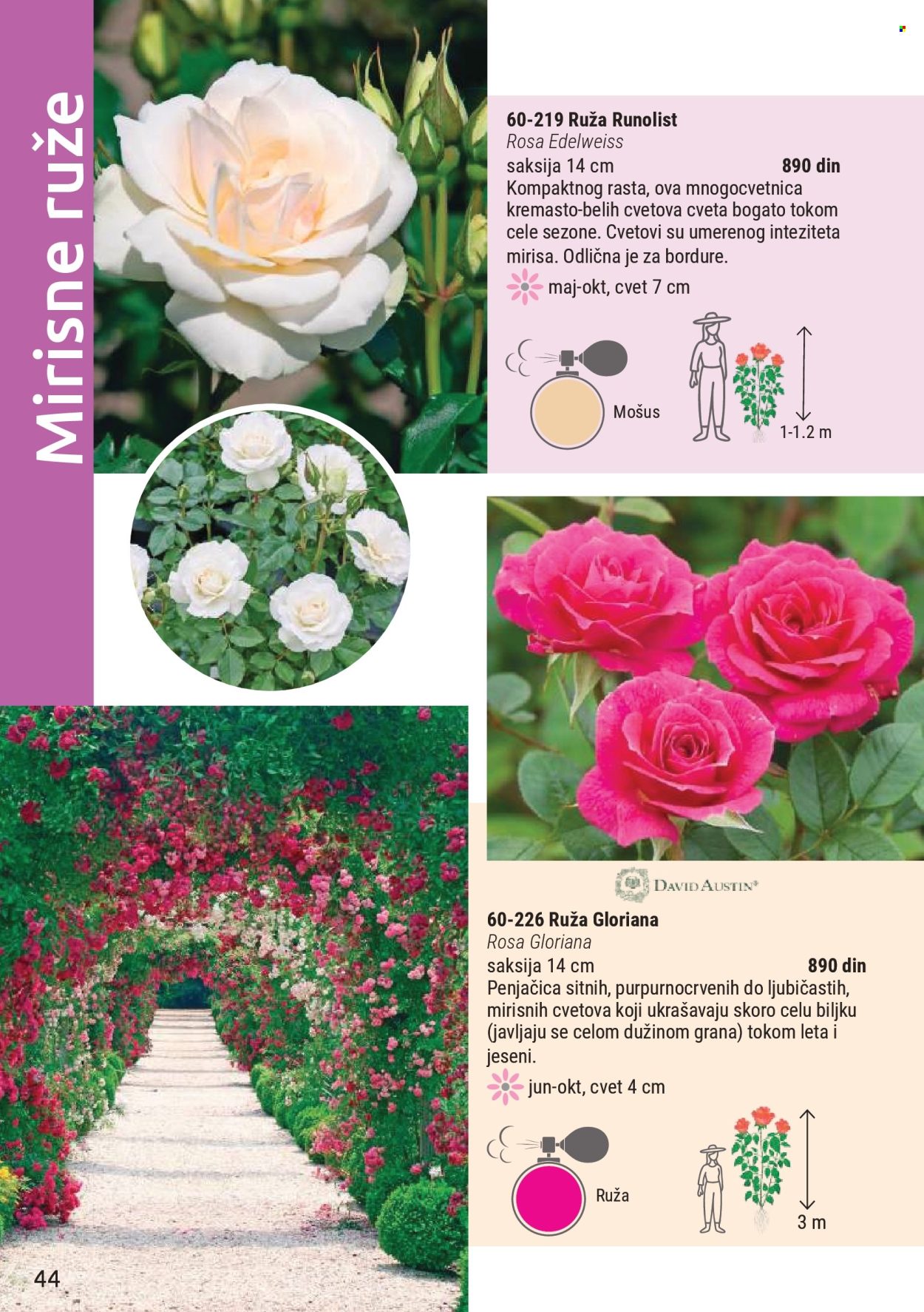 flora-ekspres - Flora Ekspres katalog mart 2026 - page: 44