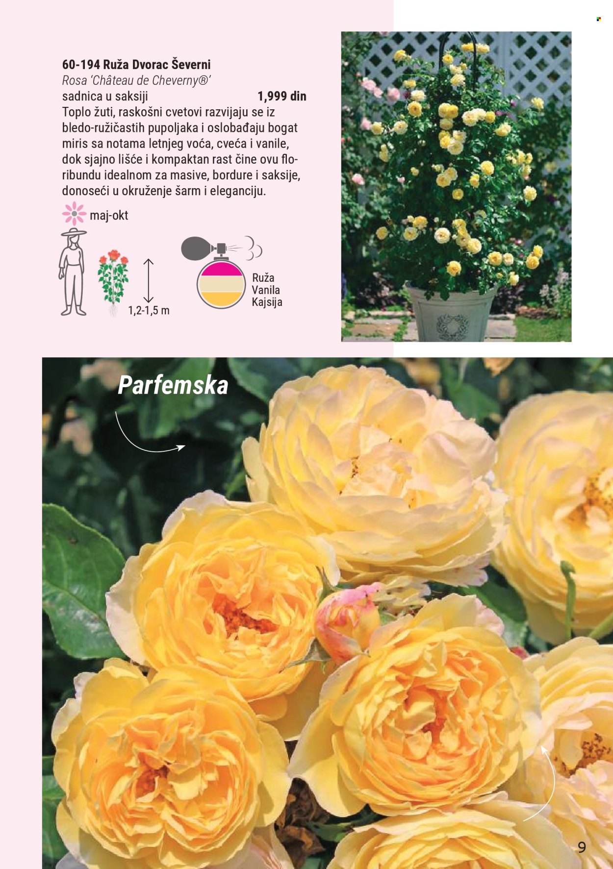 flora-ekspres - Flora Ekspres katalog mart 2026 - page: 9