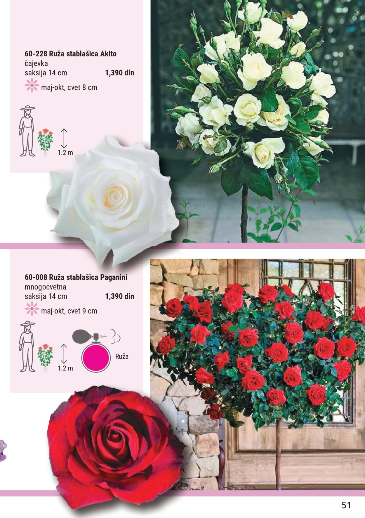 flora-ekspres - Flora Ekspres katalog mart 2026 - page: 51