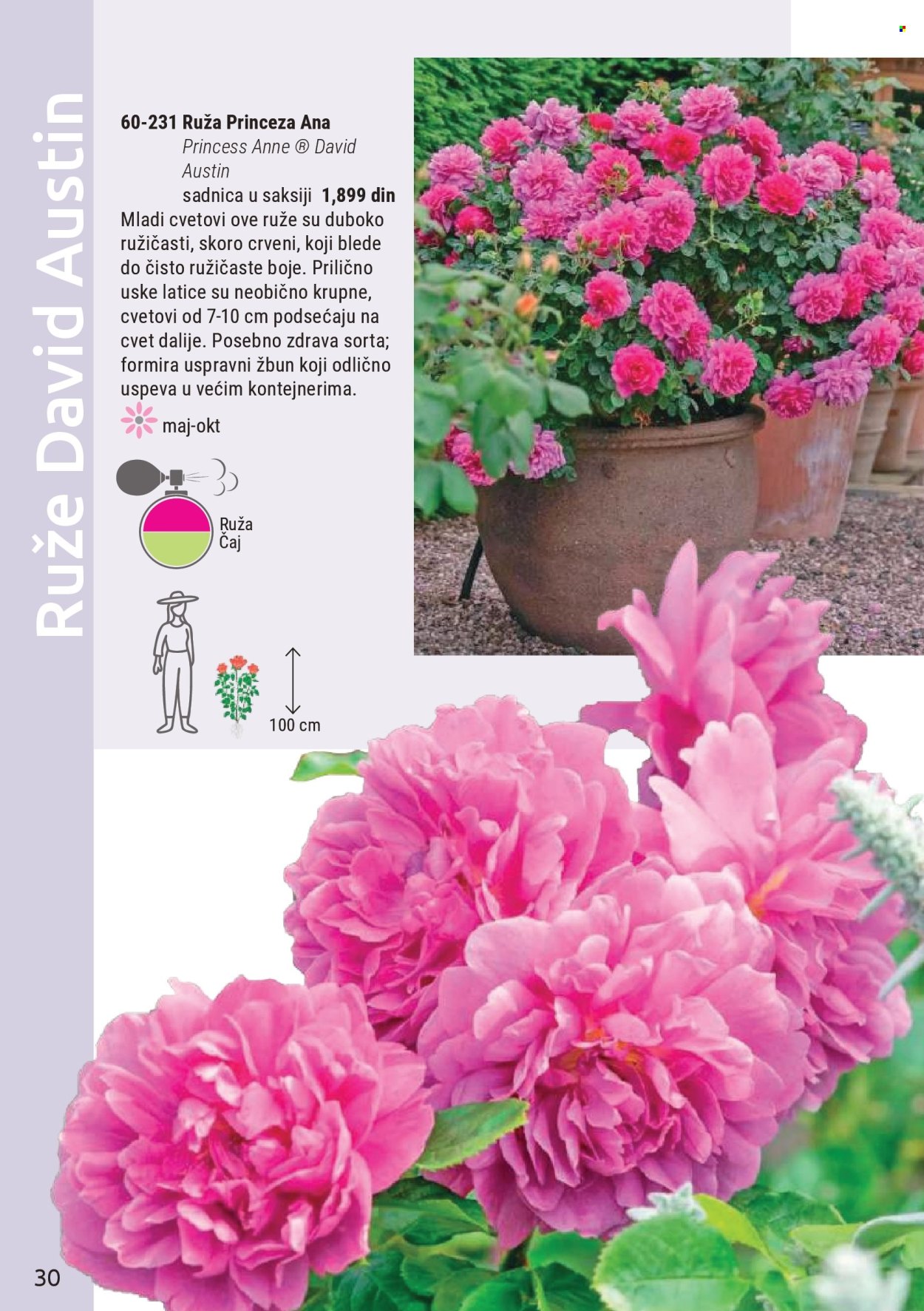 flora-ekspres - Flora Ekspres katalog mart 2026 - page: 30