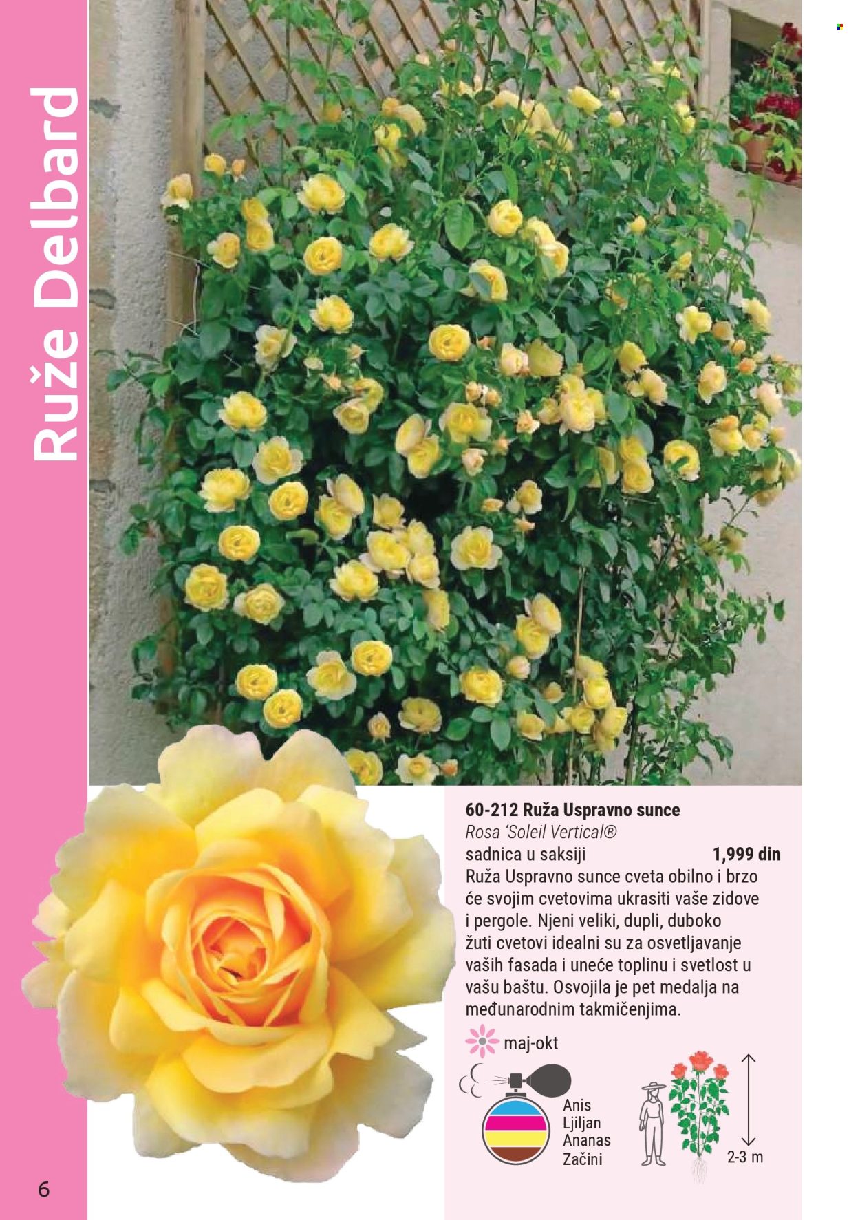 flora-ekspres - Flora Ekspres katalog mart 2026 - page: 6