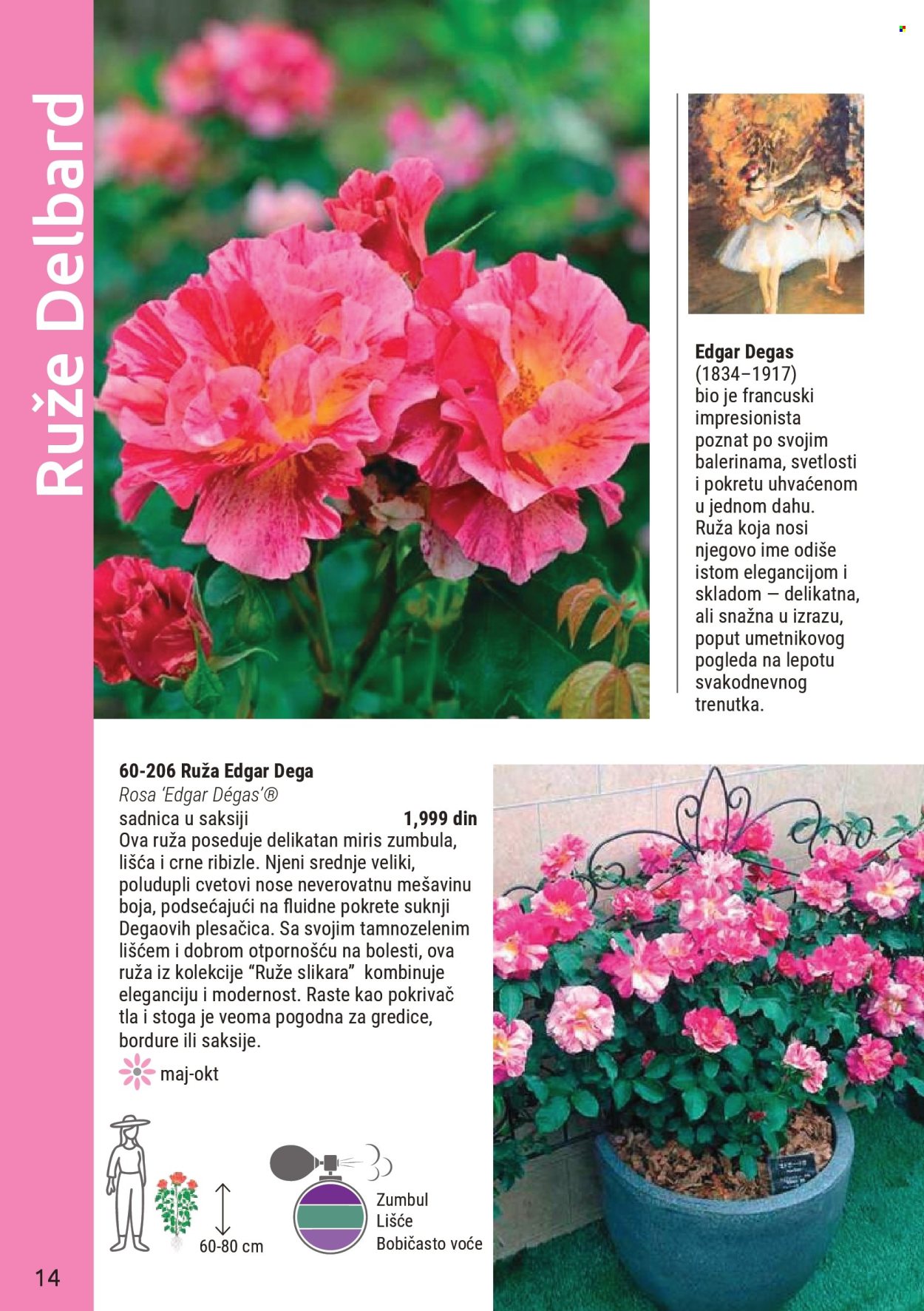 flora-ekspres - Flora Ekspres katalog mart 2026 - page: 14