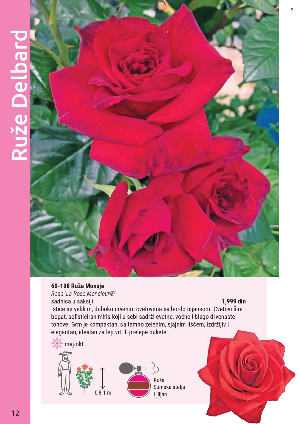 flora-ekspres - Flora Ekspres katalog mart 2026 - page: 12