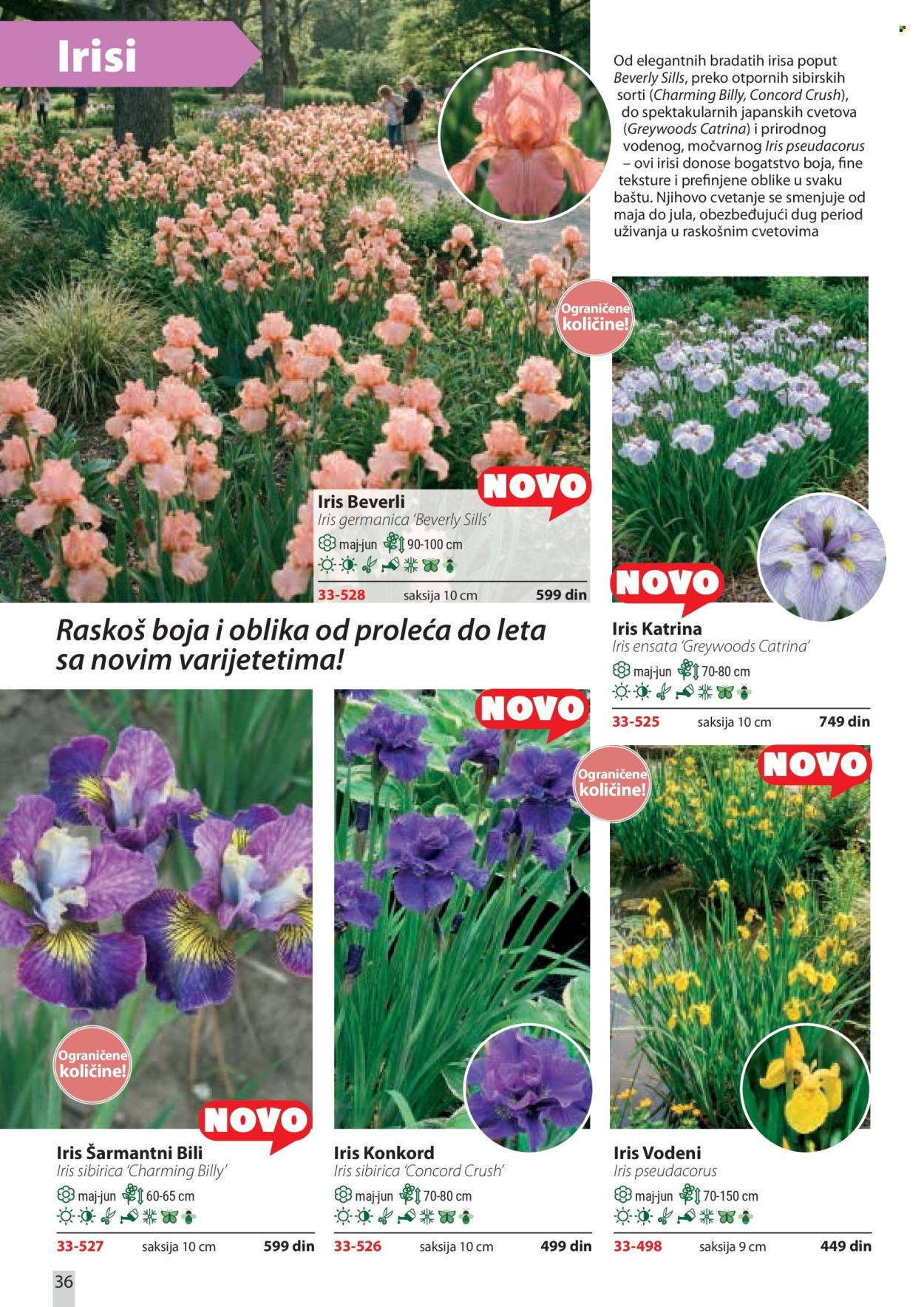 flora-ekspres - Flora Ekspres katalog april 2026 - page: 36