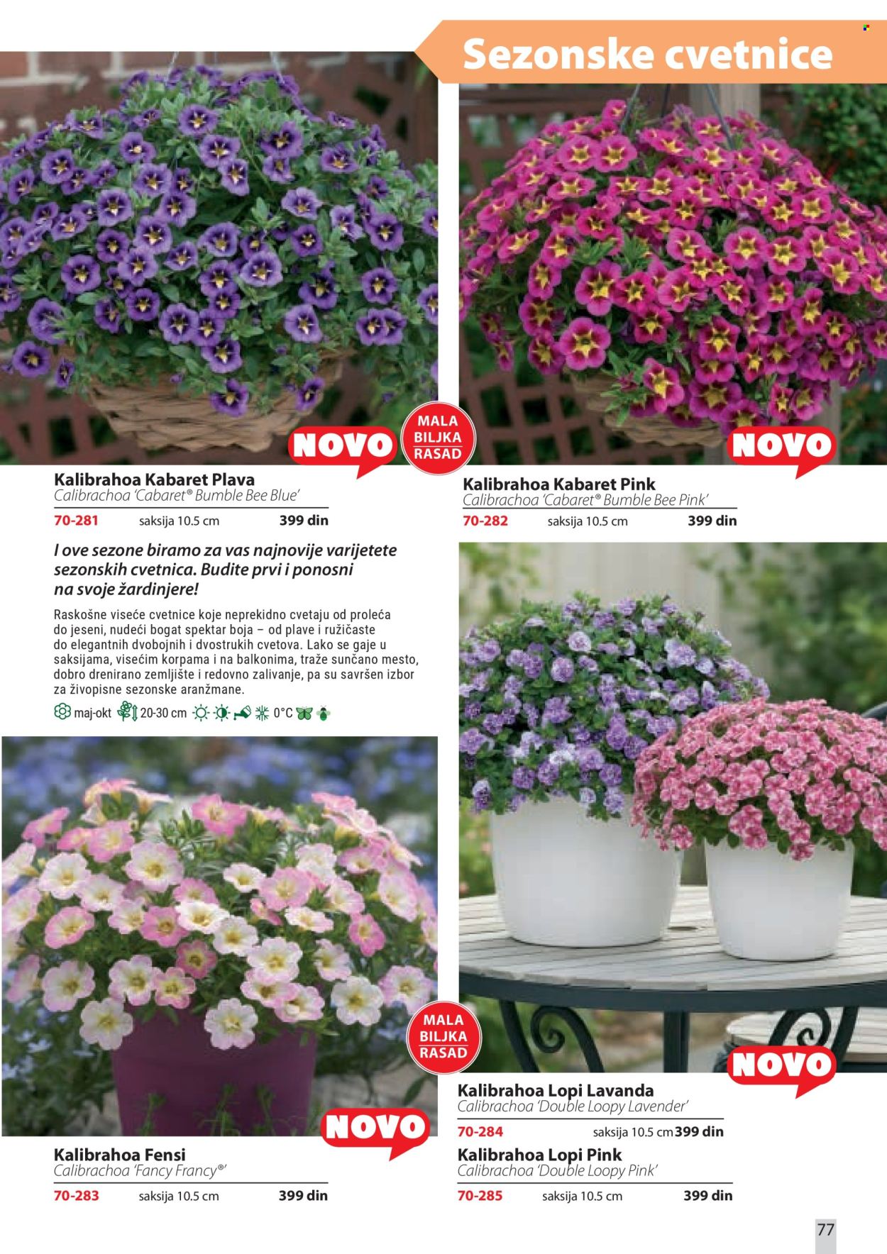 flora-ekspres - Flora Ekspres katalog april 2026 - page: 77