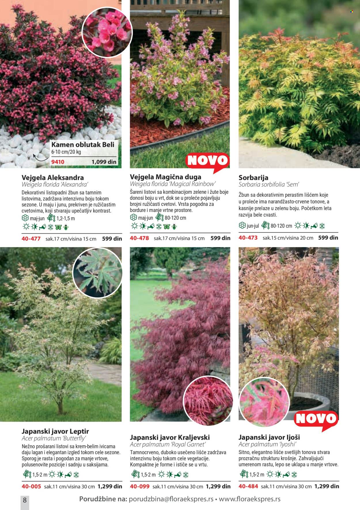 flora-ekspres - Flora Ekspres katalog april 2026 - page: 8