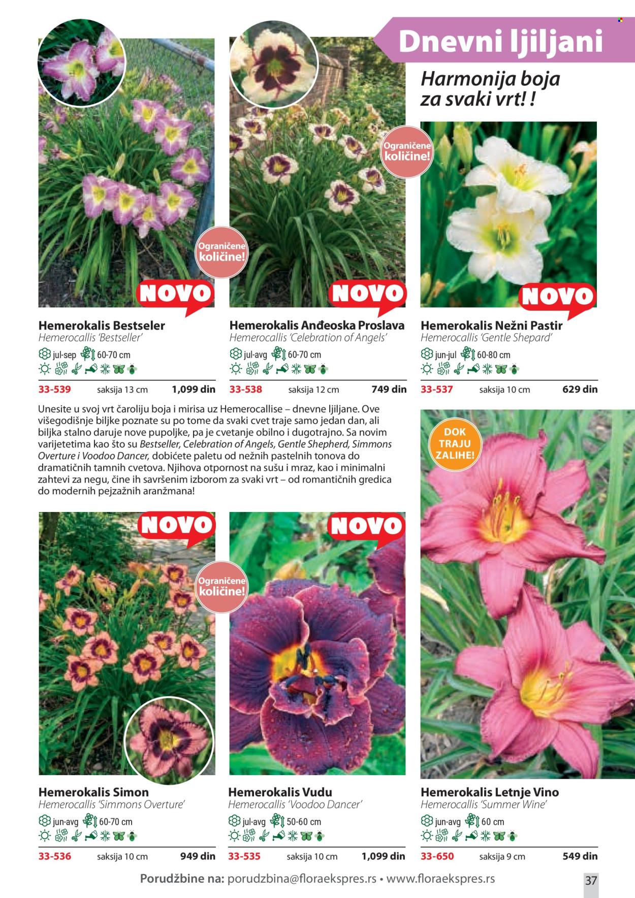 flora-ekspres - Flora Ekspres katalog april 2026 - page: 37