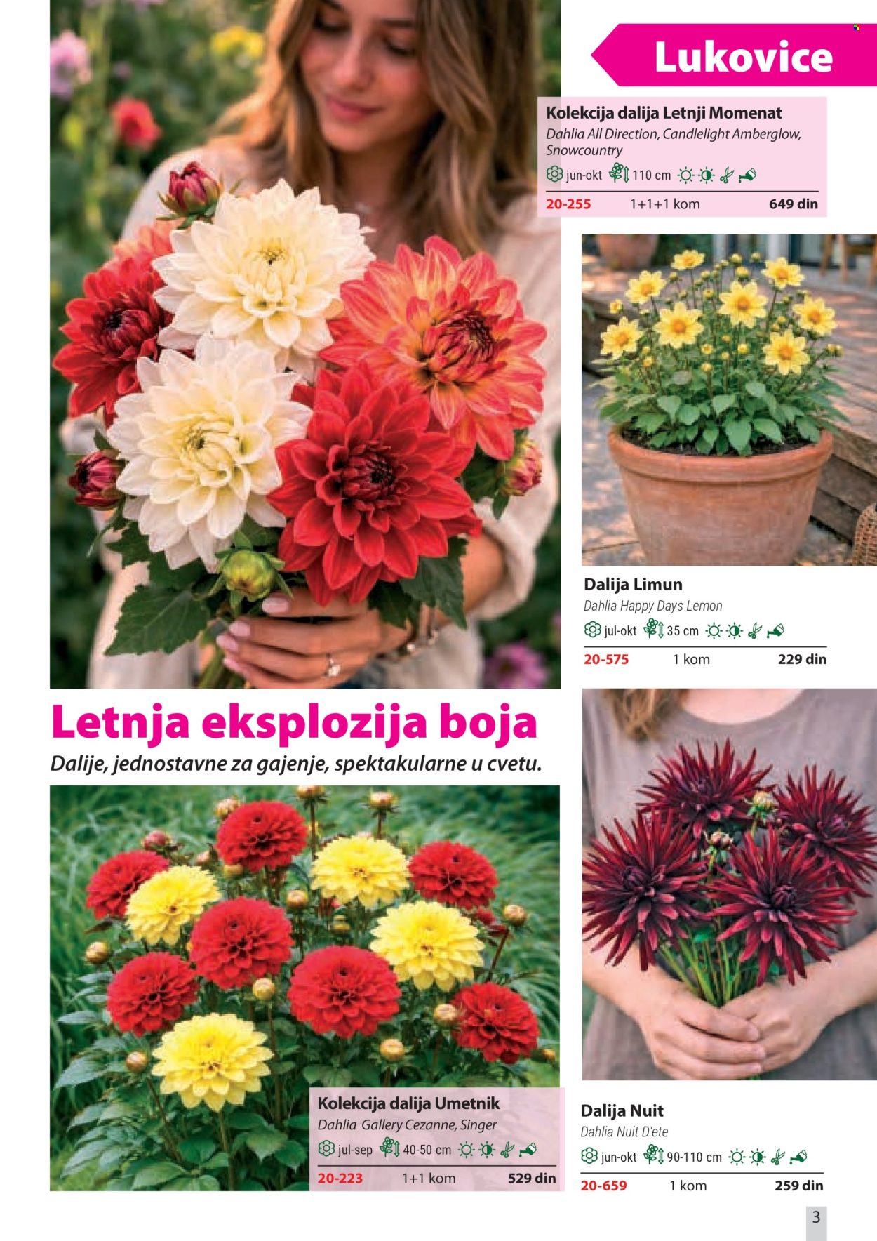 flora-ekspres - Flora Ekspres katalog april 2026 - page: 3