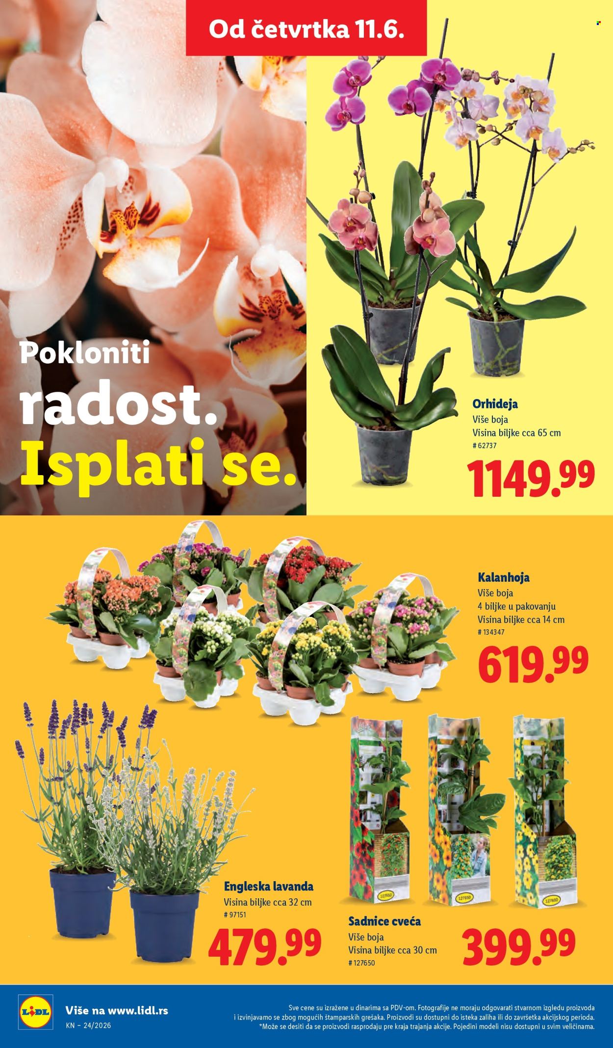 lidl - Lidl katalog - 11.06.-17.06.2026 - page: 62