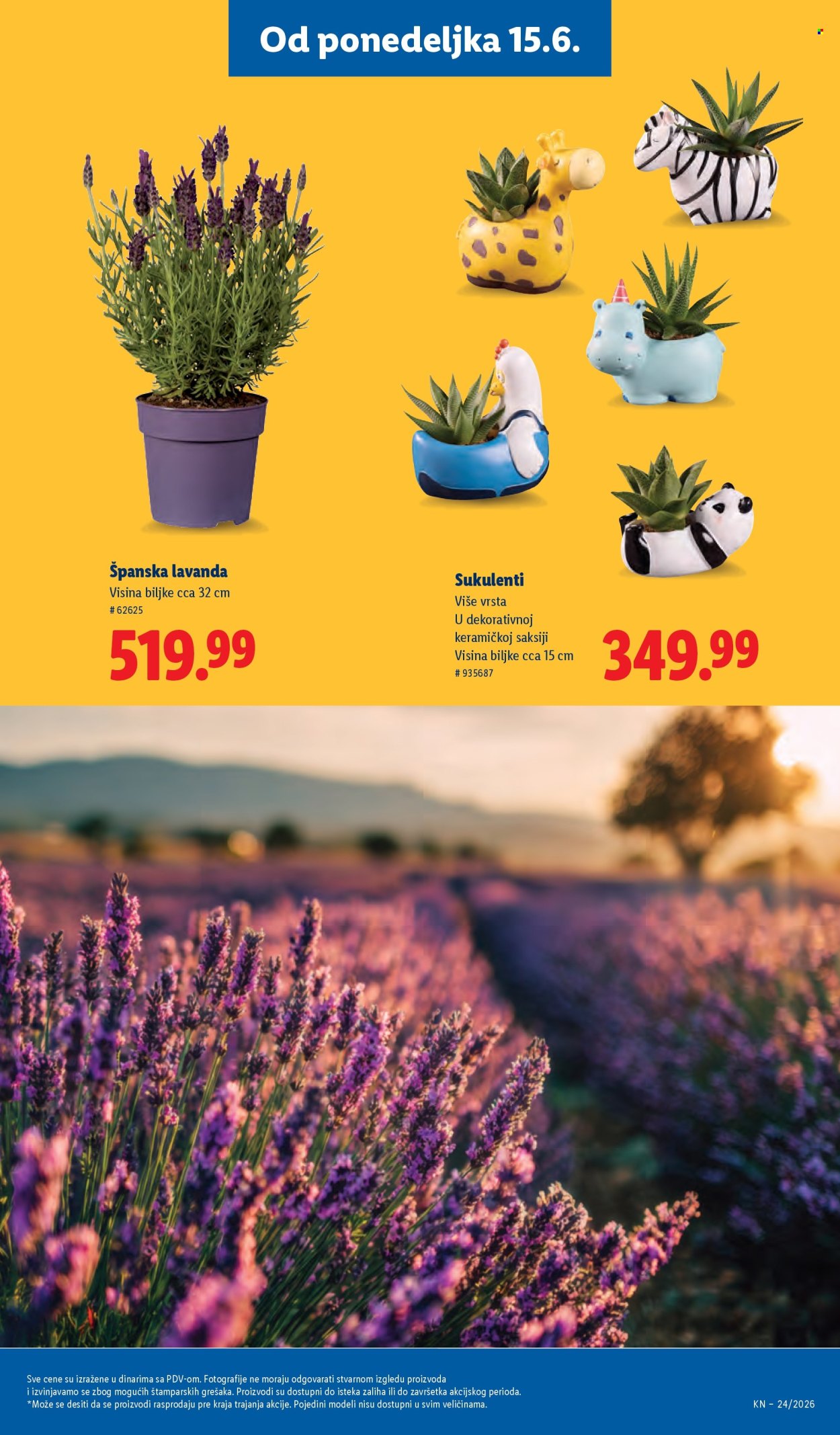 lidl - Lidl katalog - 11.06.-17.06.2026 - page: 63