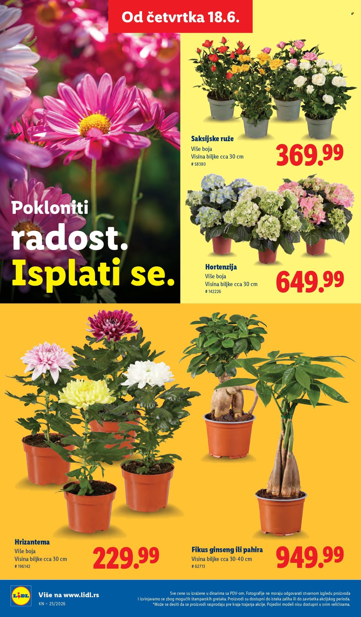 lidl - Lidl katalog - 18.06.-24.06.2026 - page: 68
