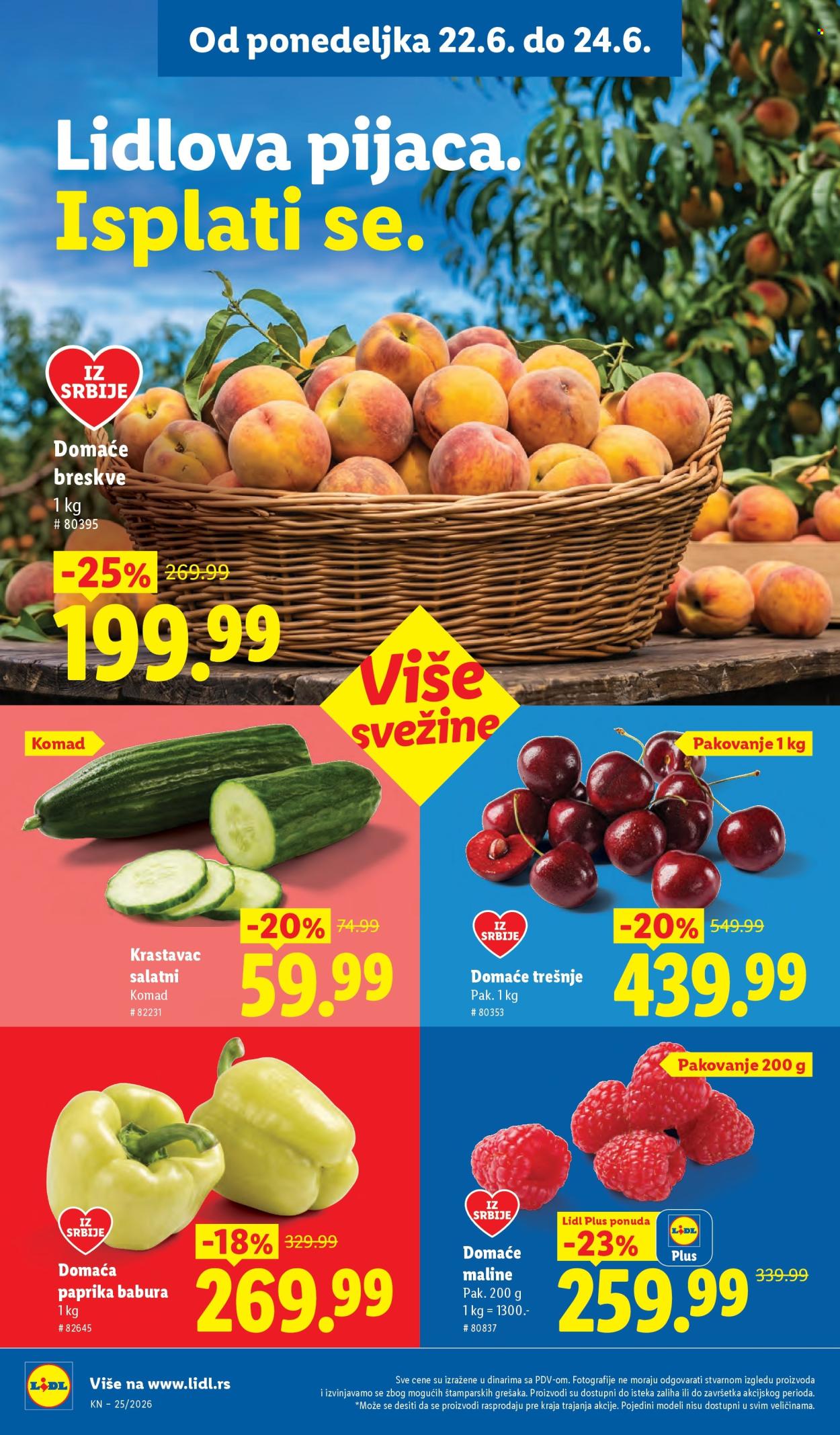 lidl - Lidl katalog - 18.06.-24.06.2026 - page: 98