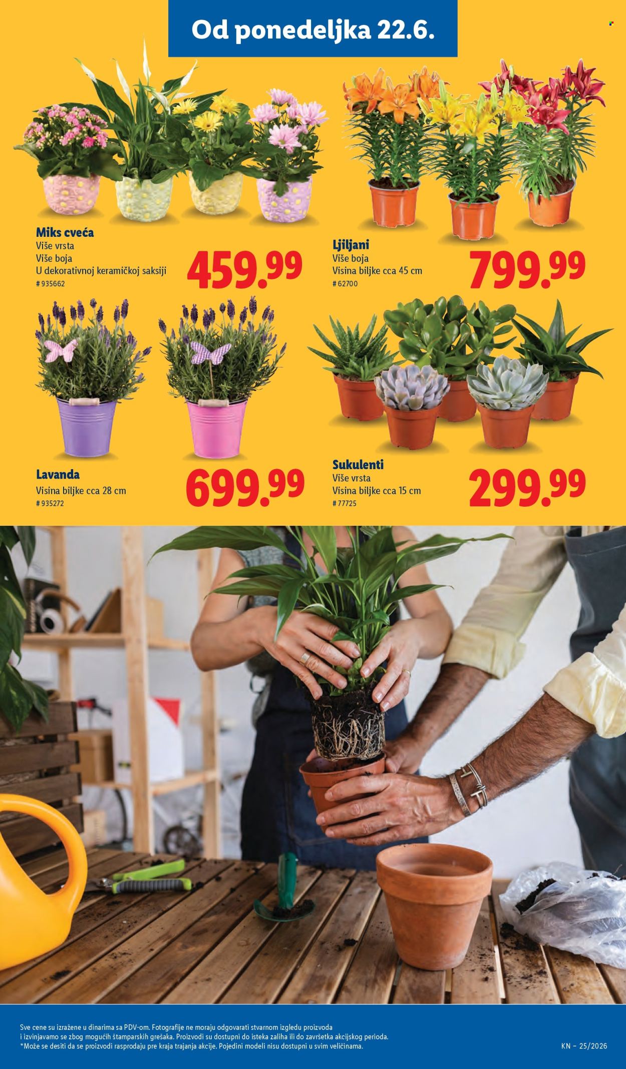 lidl - Lidl katalog - 18.06.-24.06.2026 - page: 69