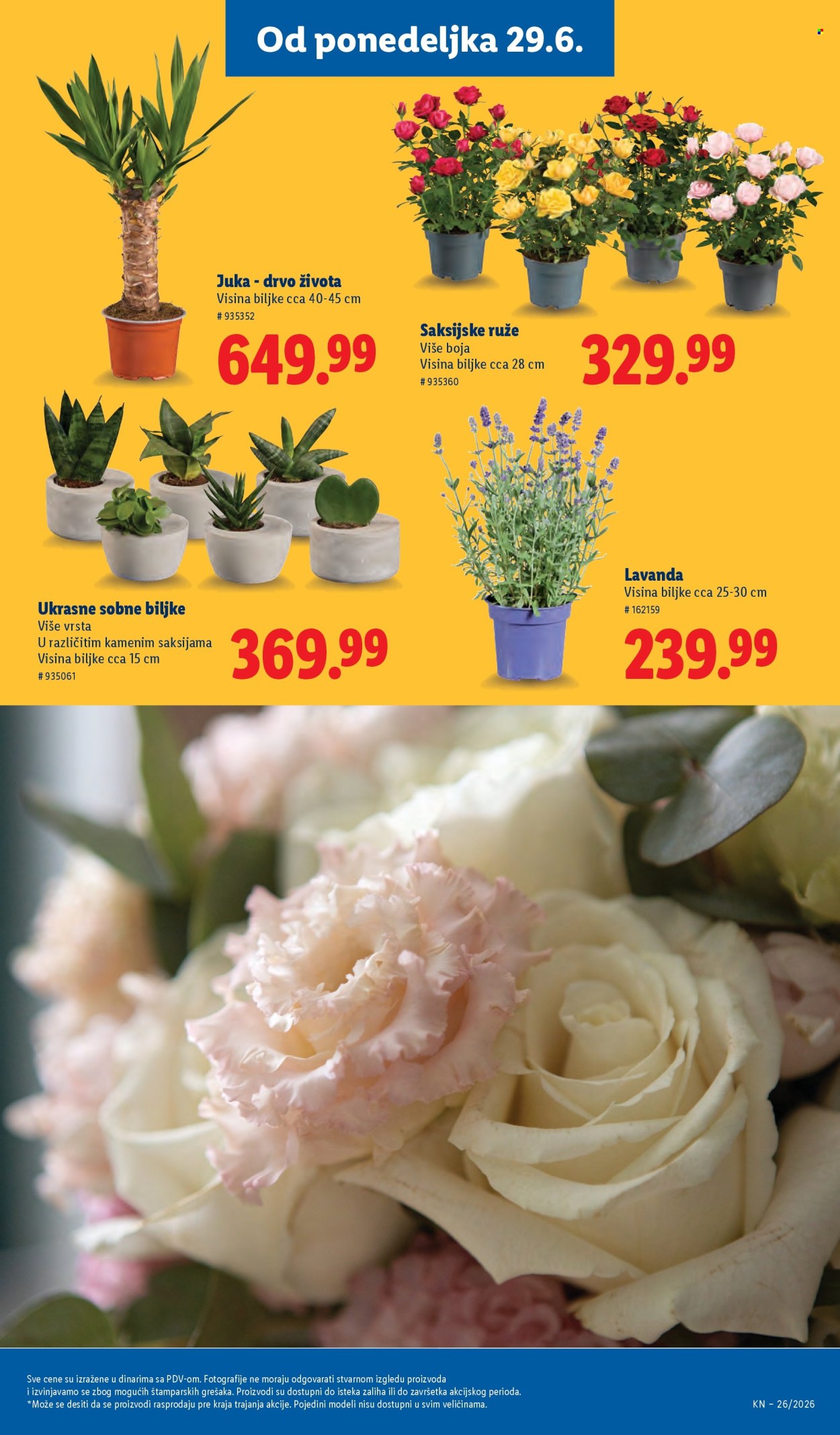 lidl - Lidl katalog - 25.06.-01.07.2026 - page: 75