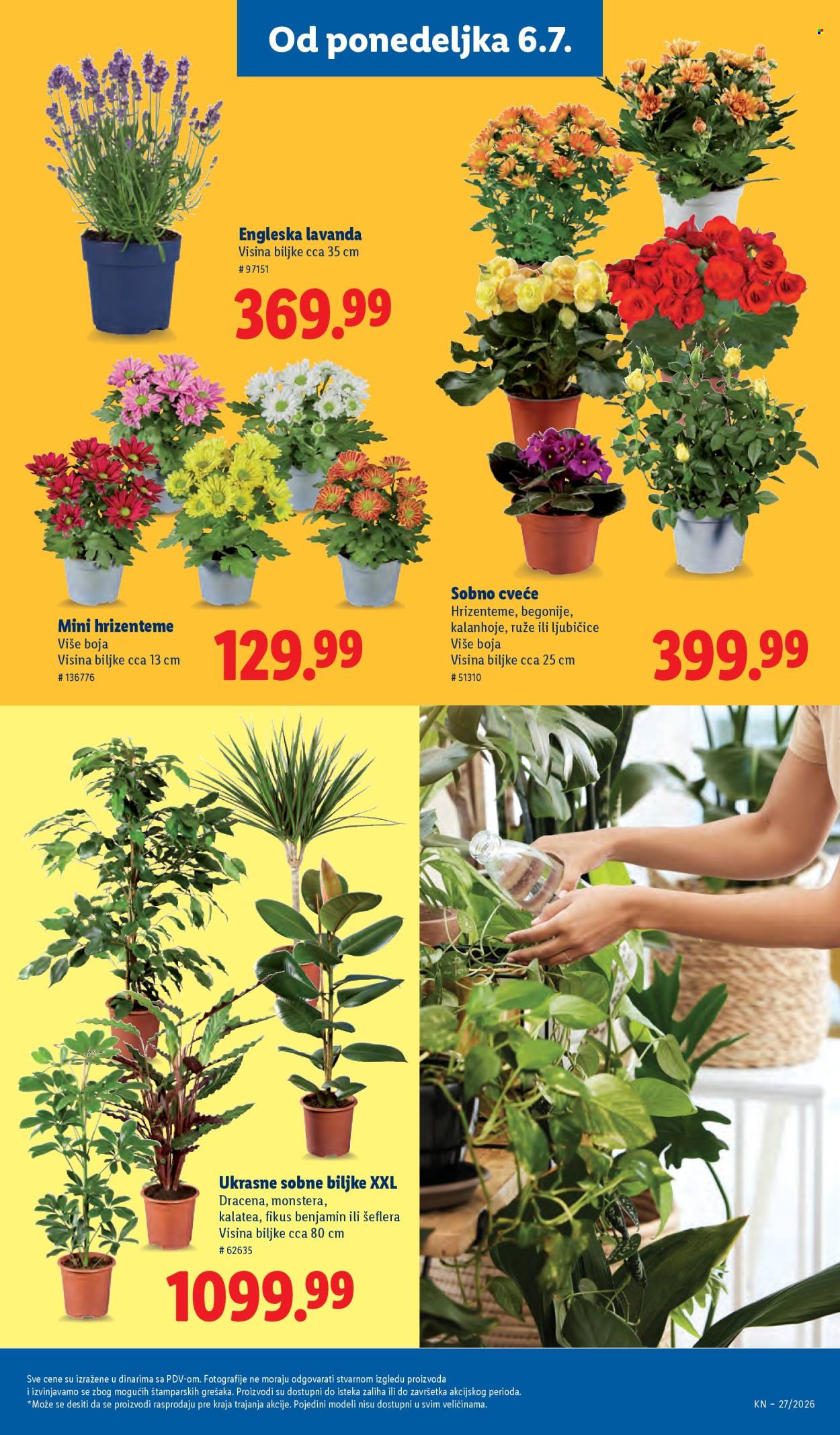 lidl - Lidl katalog - 02.07.-08.07.2026 - page: 89