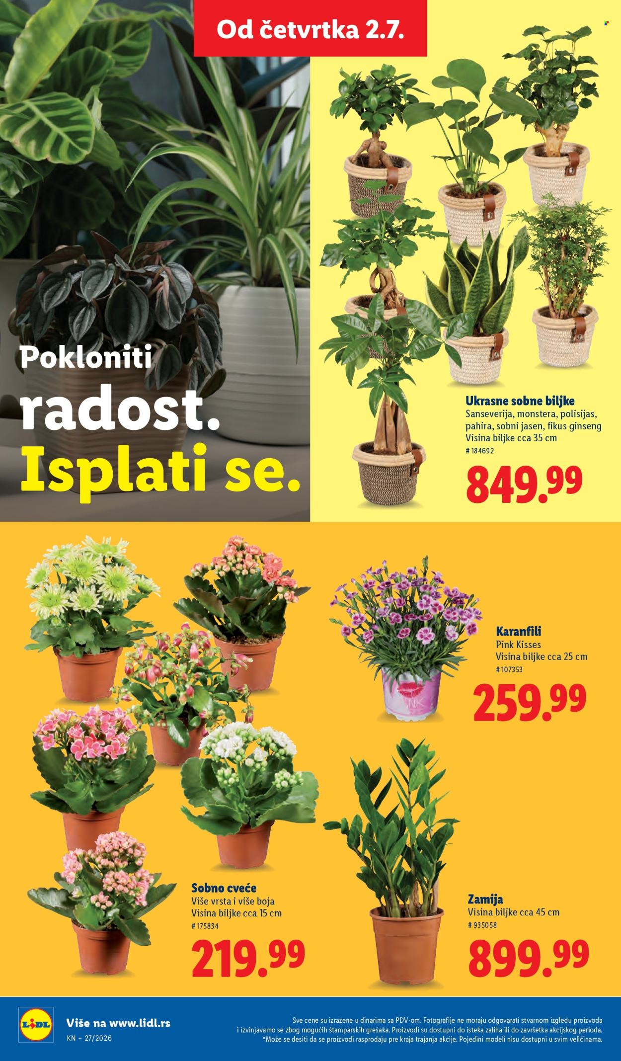 lidl - Lidl katalog - 02.07.-08.07.2026 - page: 88