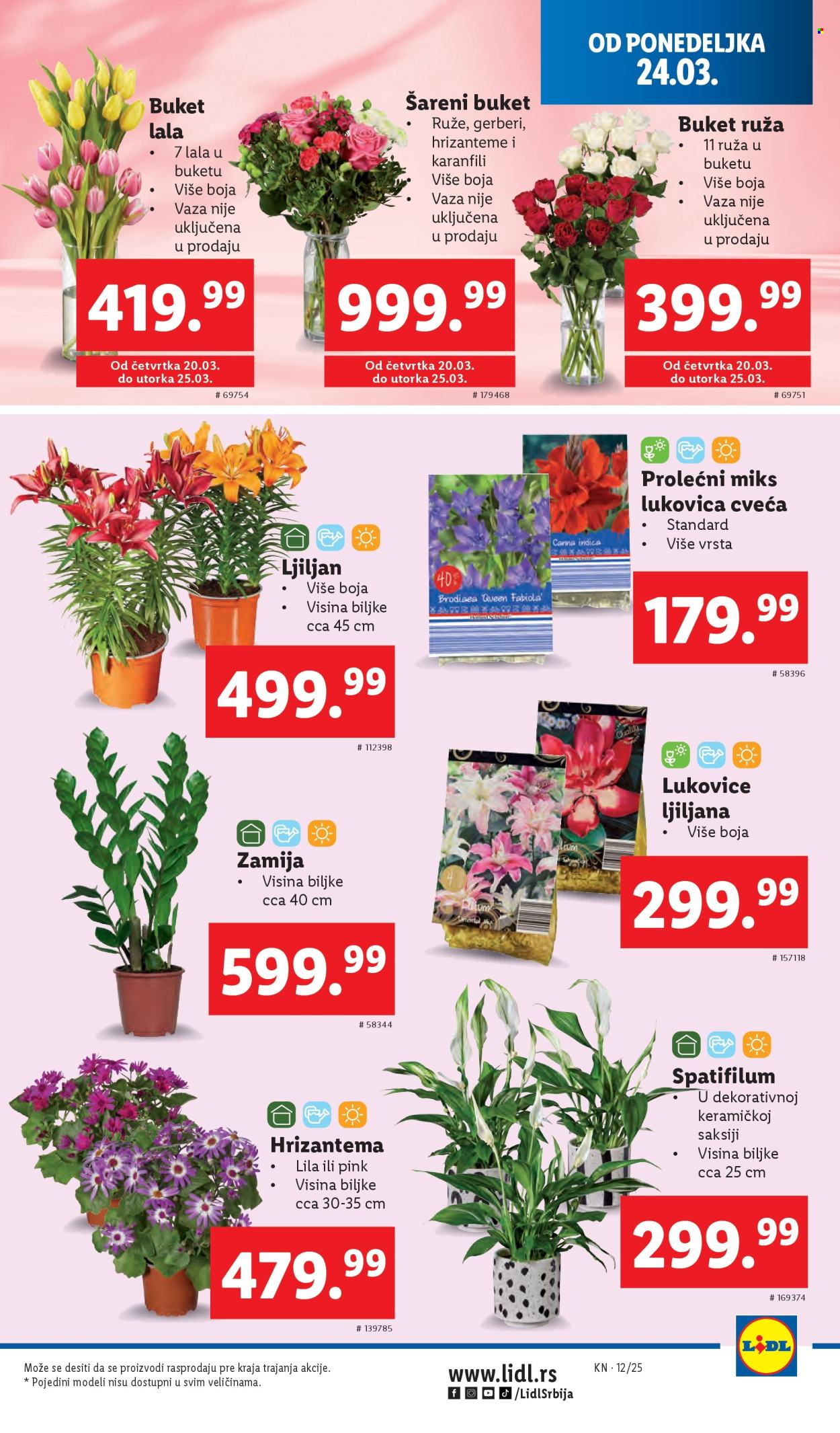 lidl - Lidl katalog - 20.03.-26.03.2025 - page: 33 lidl - Lidl katalog - 20.03.-26.03.2025 - page: 33