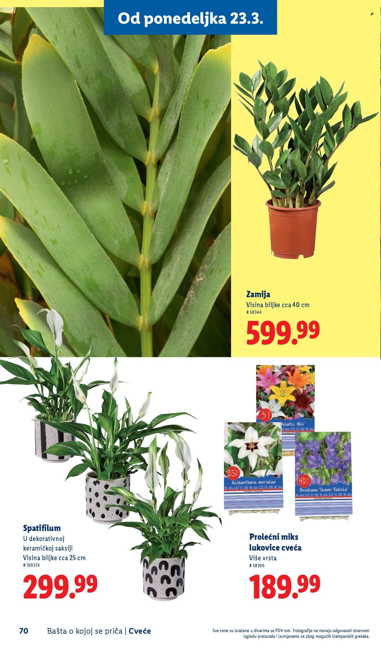 lidl - Lidl katalog mart 2026 - page: 70