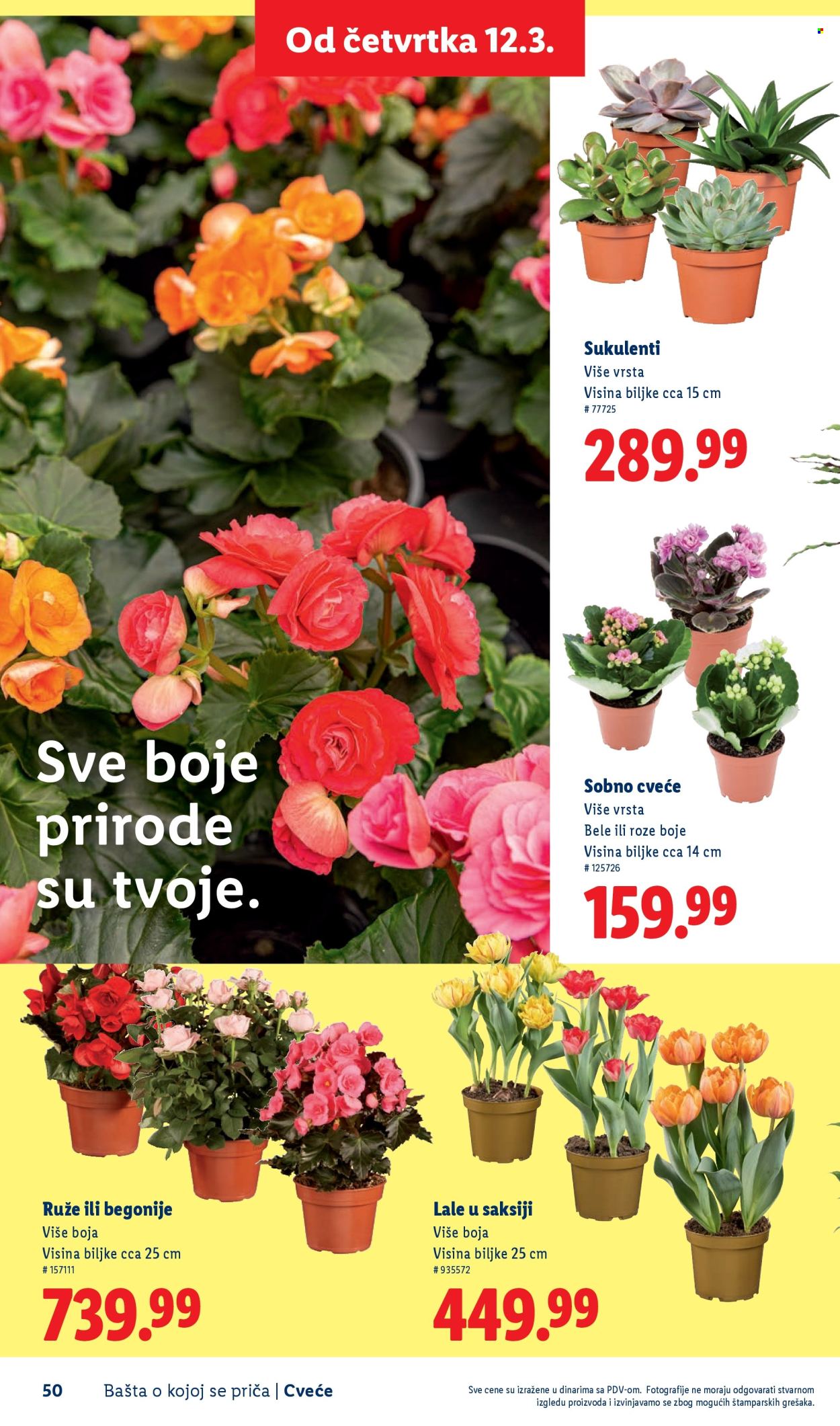 lidl - Lidl katalog mart 2026 - page: 50