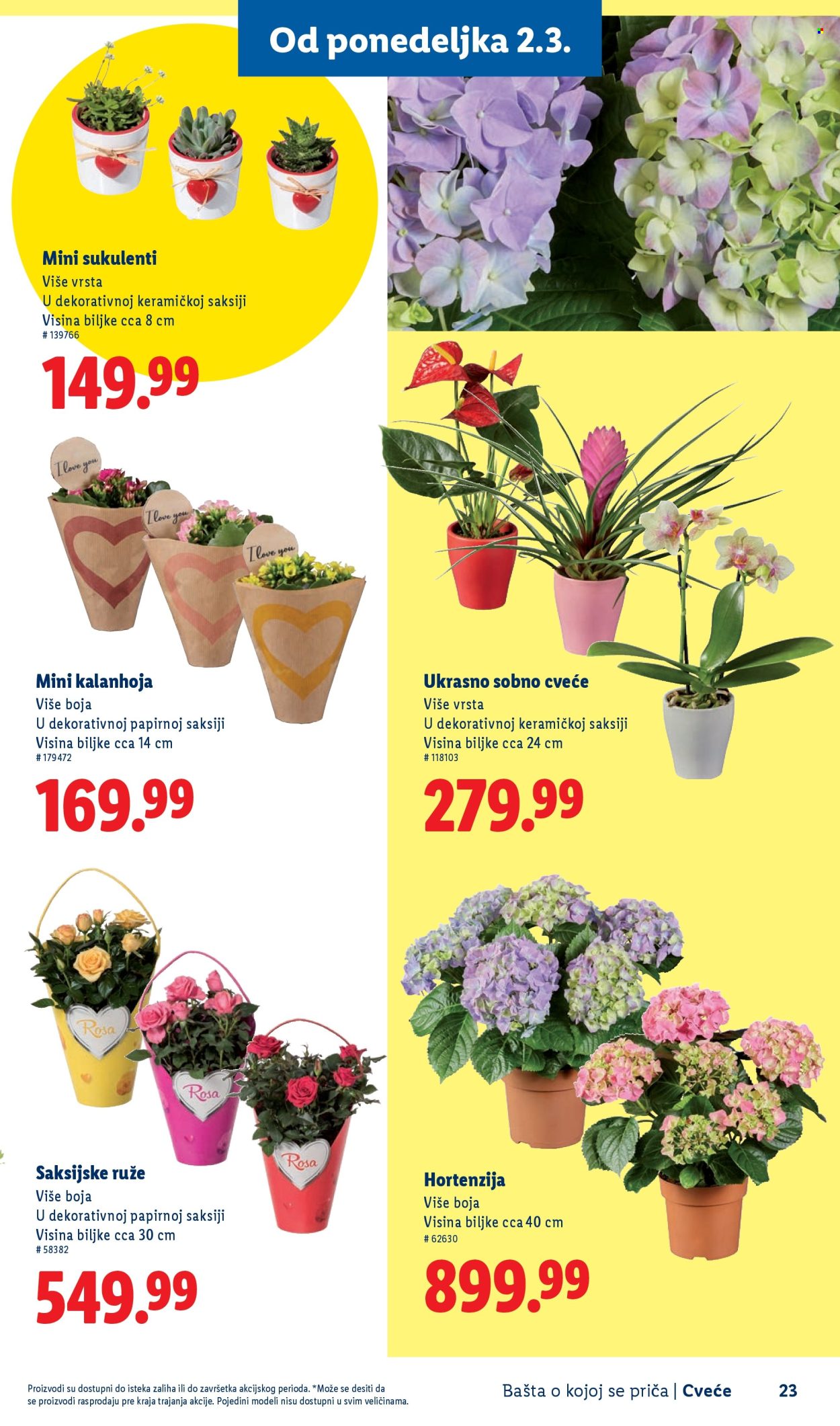 lidl - Lidl katalog mart 2026 - page: 23