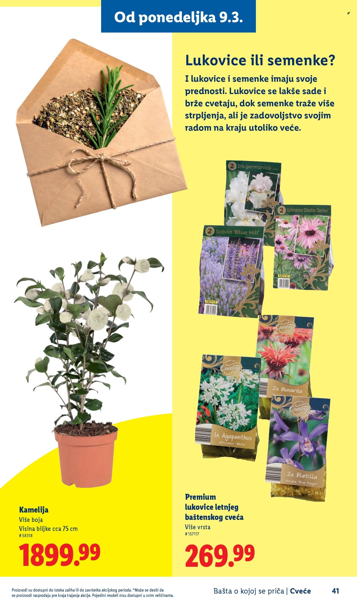 lidl - Lidl katalog mart 2026 - page: 41