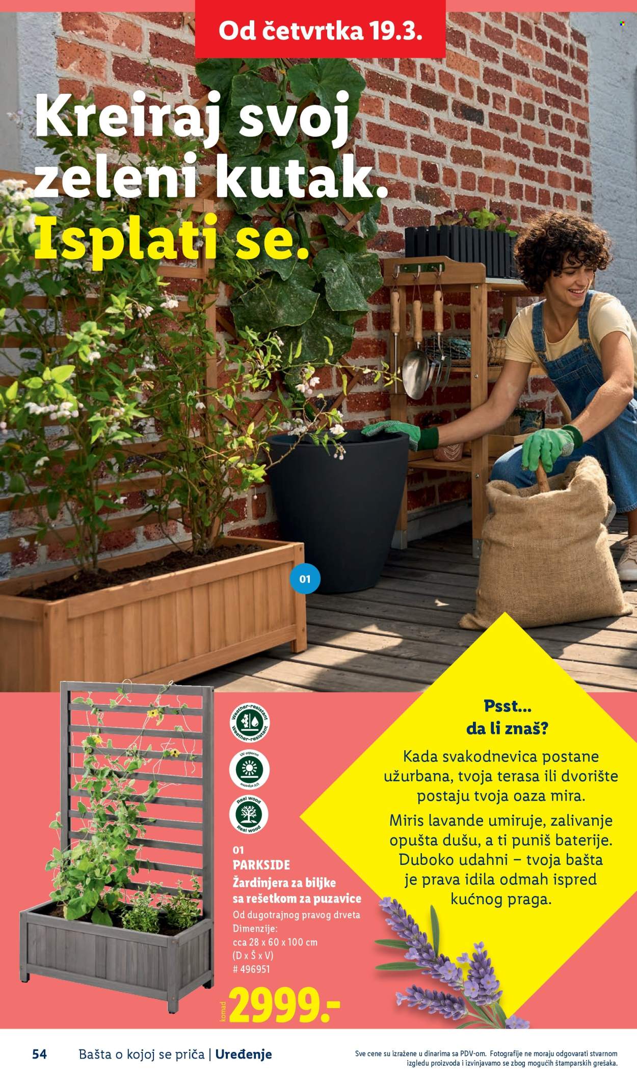 lidl - Lidl katalog mart 2026 - page: 54