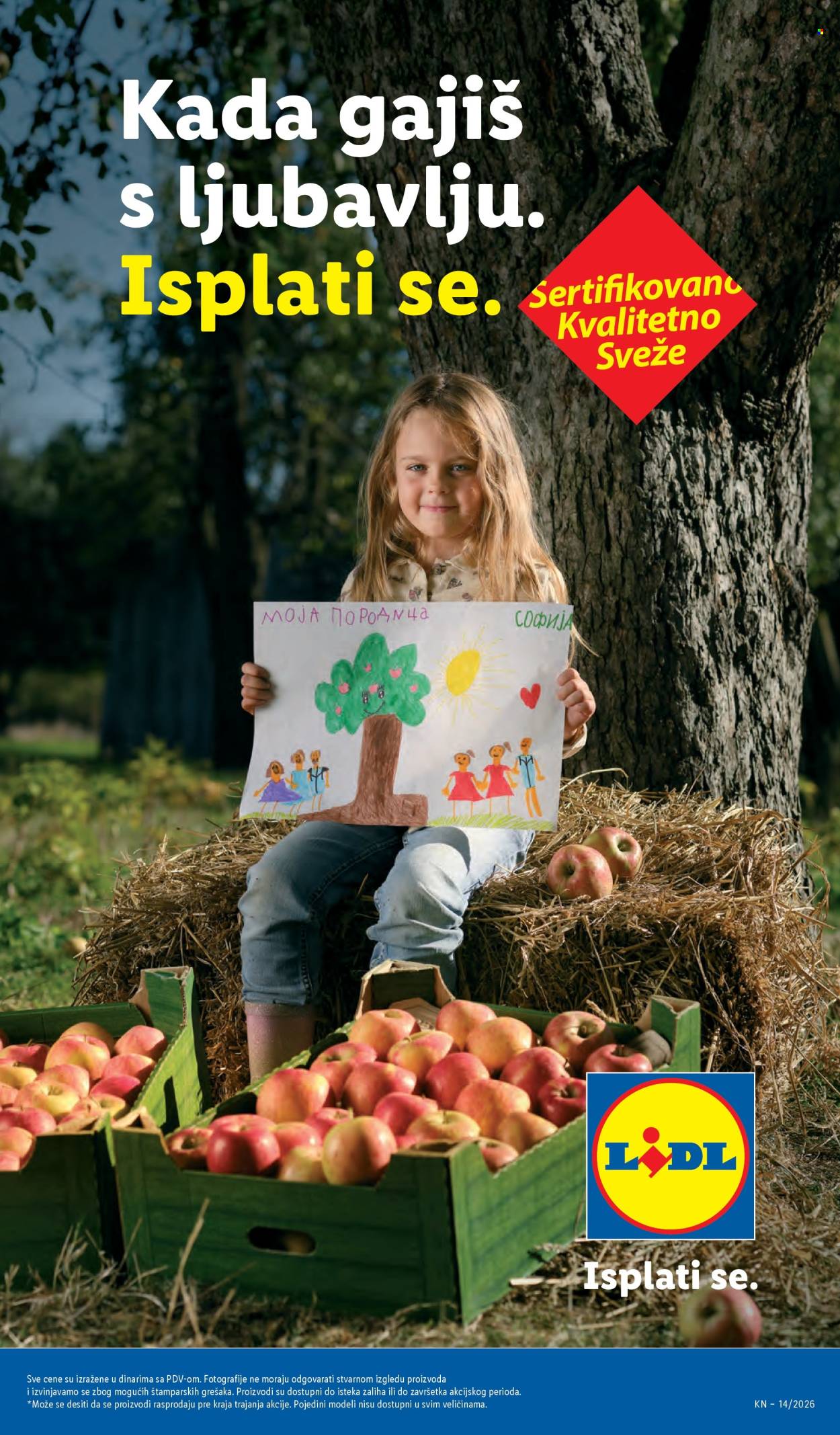 lidl - Lidl katalog - 02.04.-08.04.2026 - page: 17
