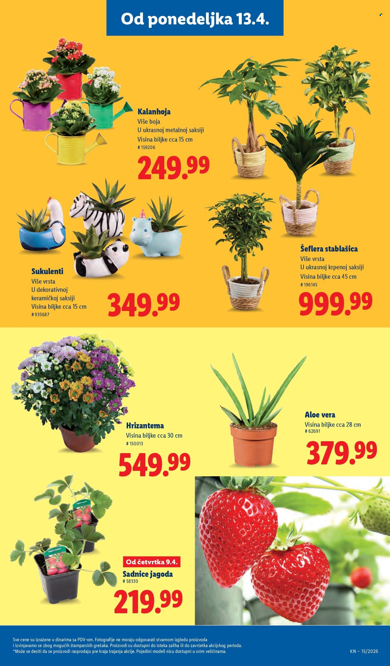 lidl - Lidl katalog - 09.04.-15.04.2026 - page: 77