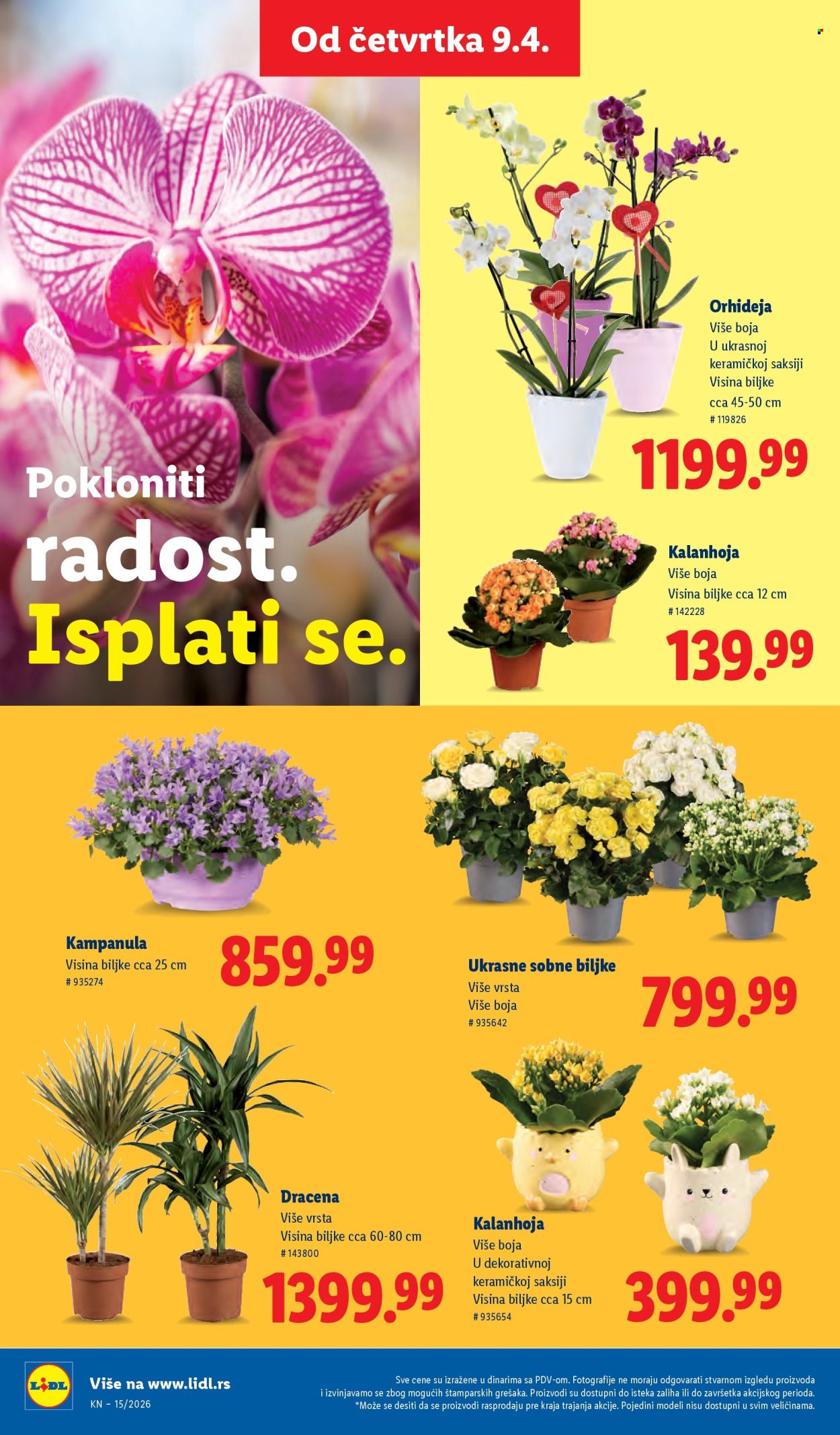 lidl - Lidl katalog - 09.04.-15.04.2026 - page: 76