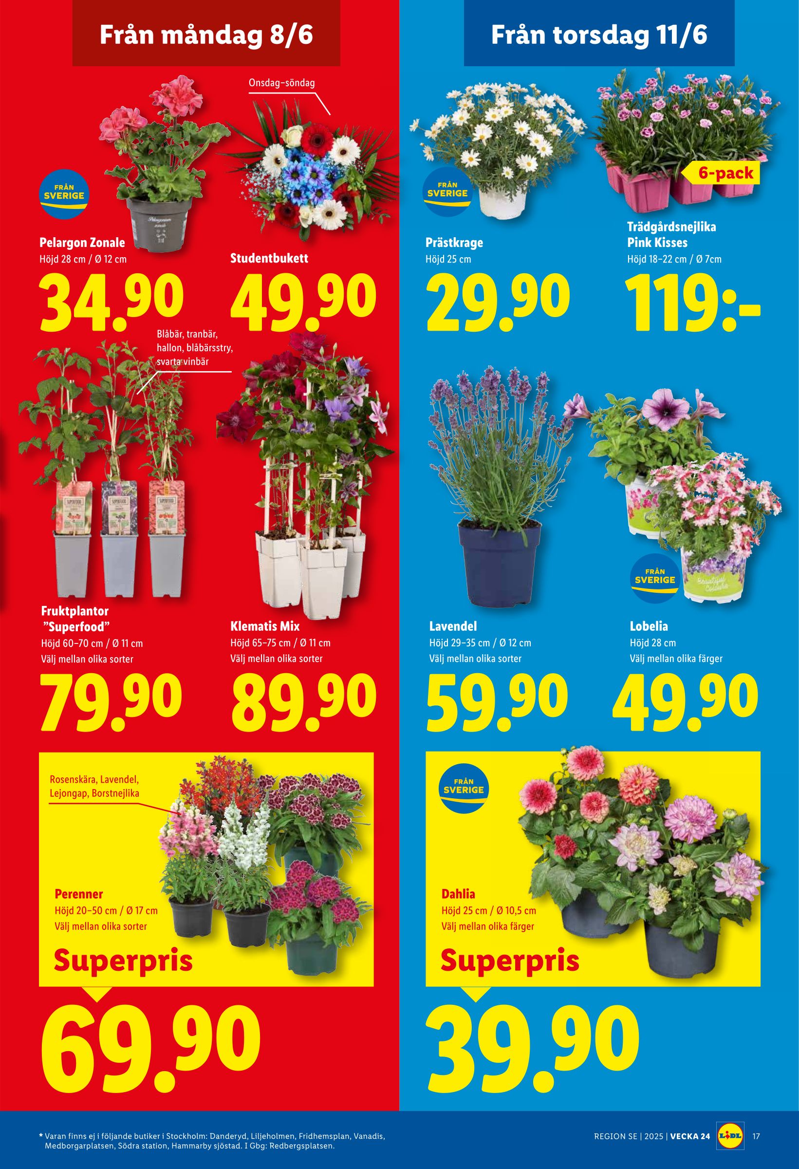 lidl - Nytt Lidl reklamblad från måndag, 08/06/2026 till söndag, 14/06/2026 - page: 22