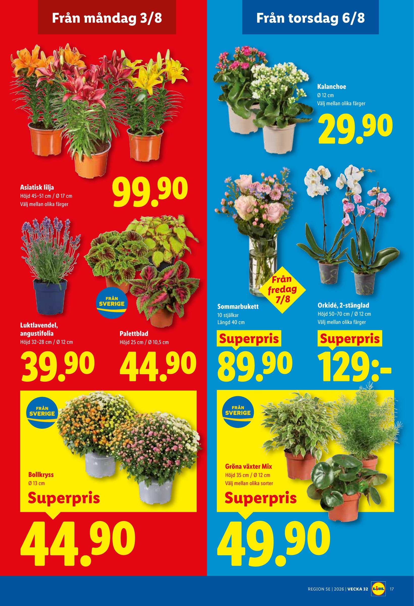 lidl - Nytt Lidl reklamblad från måndag, 03/08/2026 till söndag, 09/08/2026 - page: 21