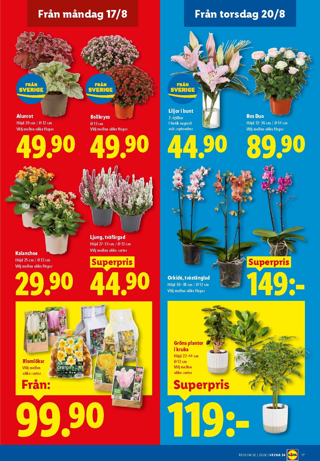 lidl - Nytt Lidl reklamblad från måndag, 17/08/2026 till söndag, 23/08/2026 - page: 21