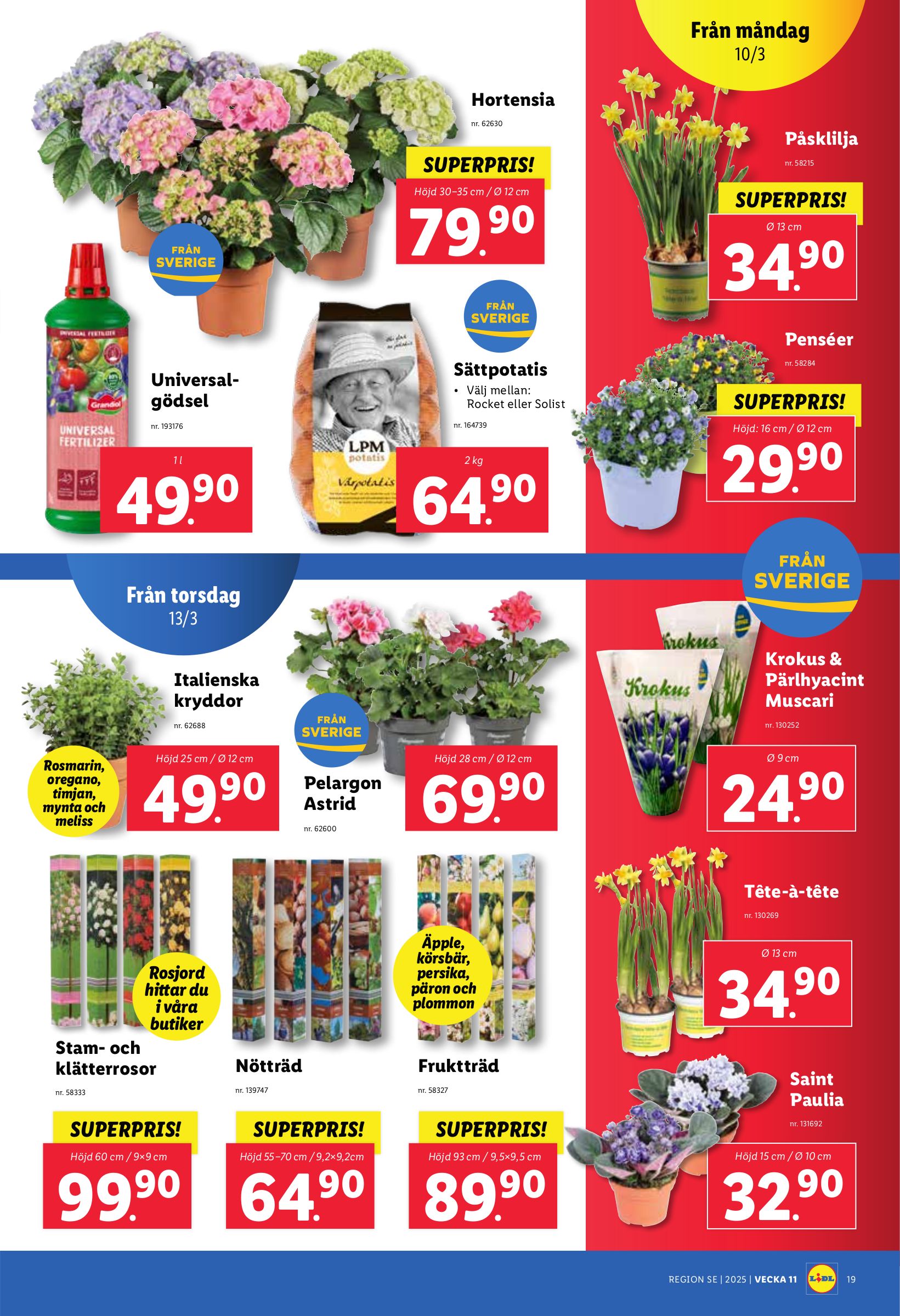 lidl - Lidl-reklambladet giltigt från 10/03 - 16/03 - page: 21
