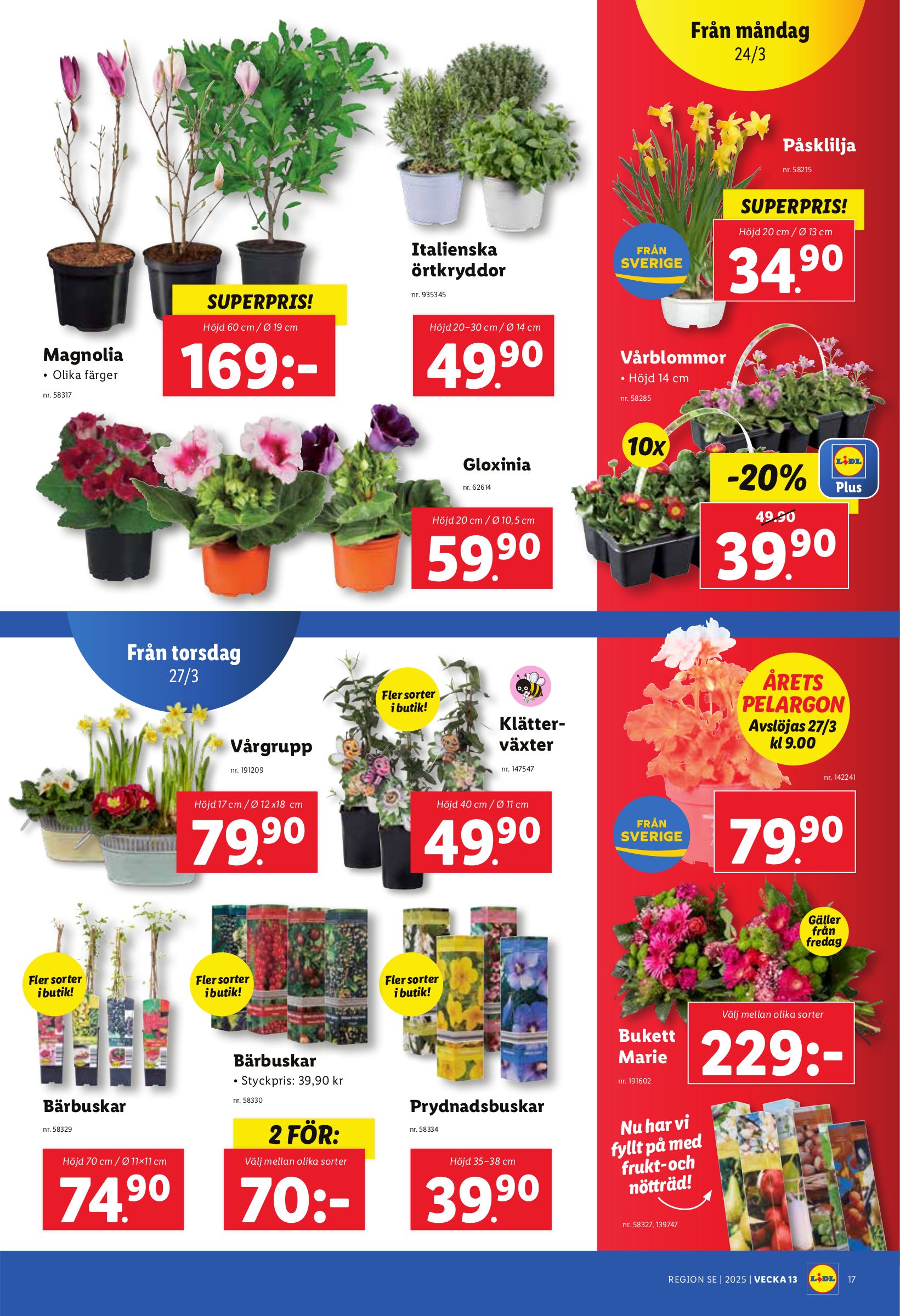 lidl - Lidl-reklambladet giltigt från 24/03 - 30/03 - page: 23