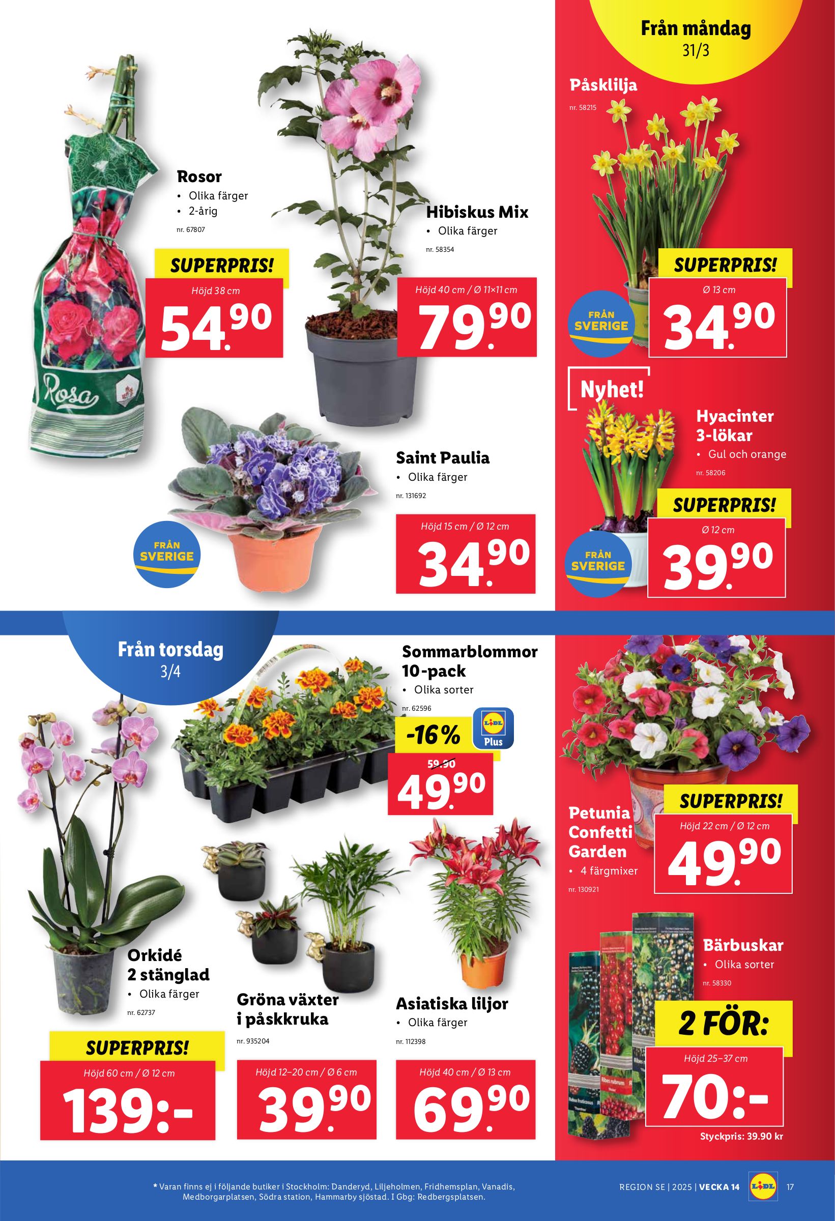 lidl - Lidl-reklambladet giltigt från 31/03 - 06/04 - page: 19