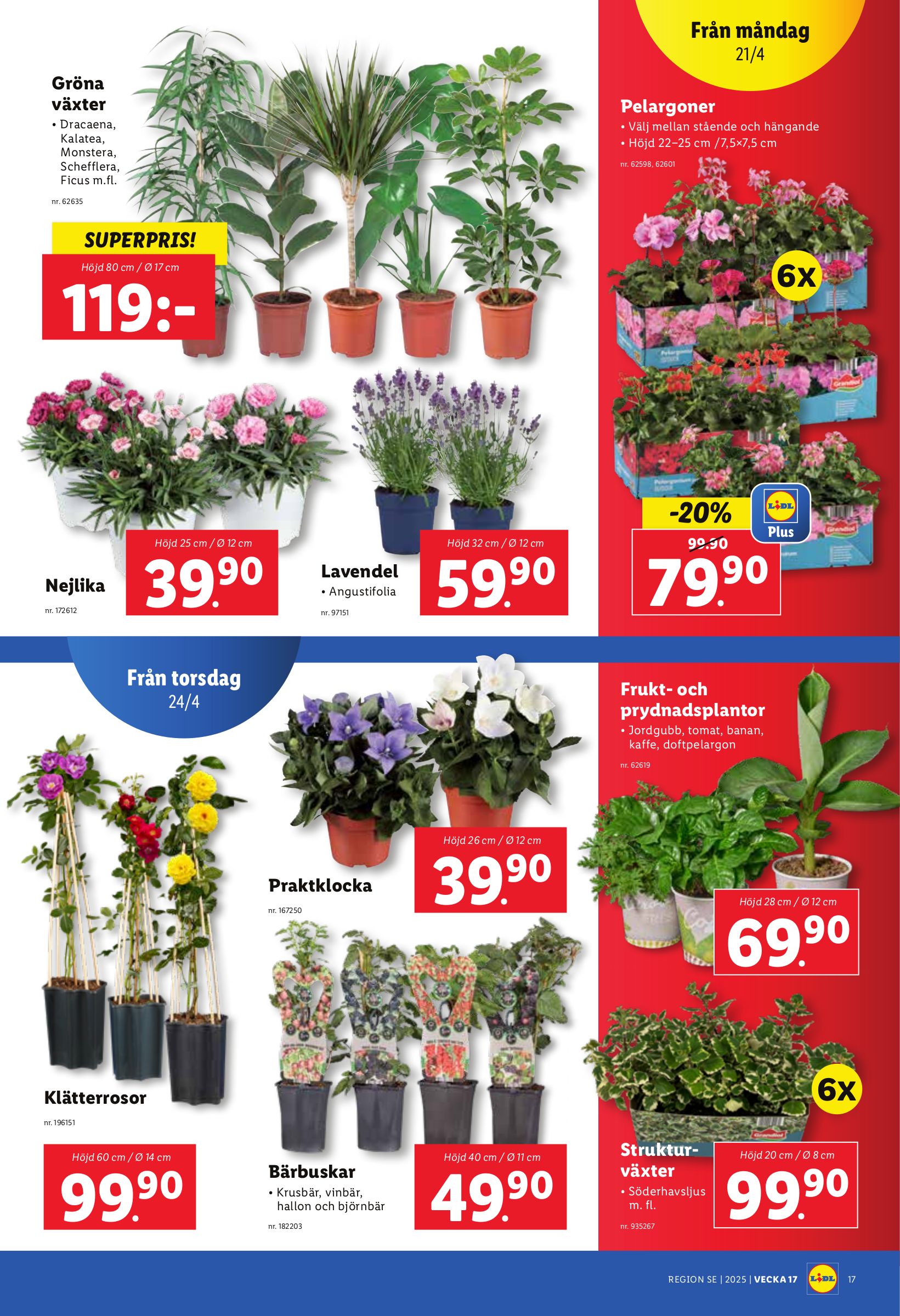 lidl - Lidl-reklambladet giltigt från 21/04 - 27/04 - page: 22