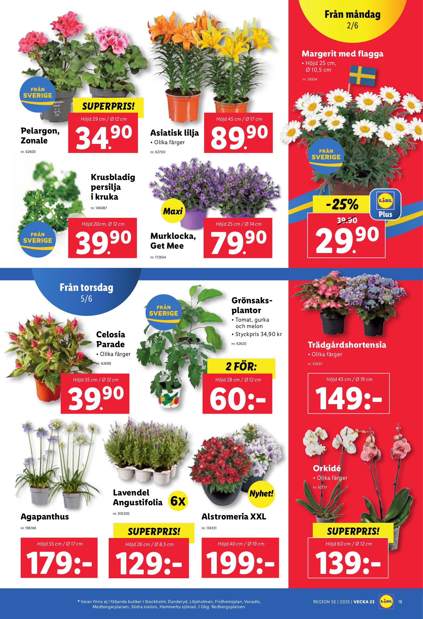 lidl - Lidl-reklambladet giltigt från 02/06 - 08/06 - page: 21