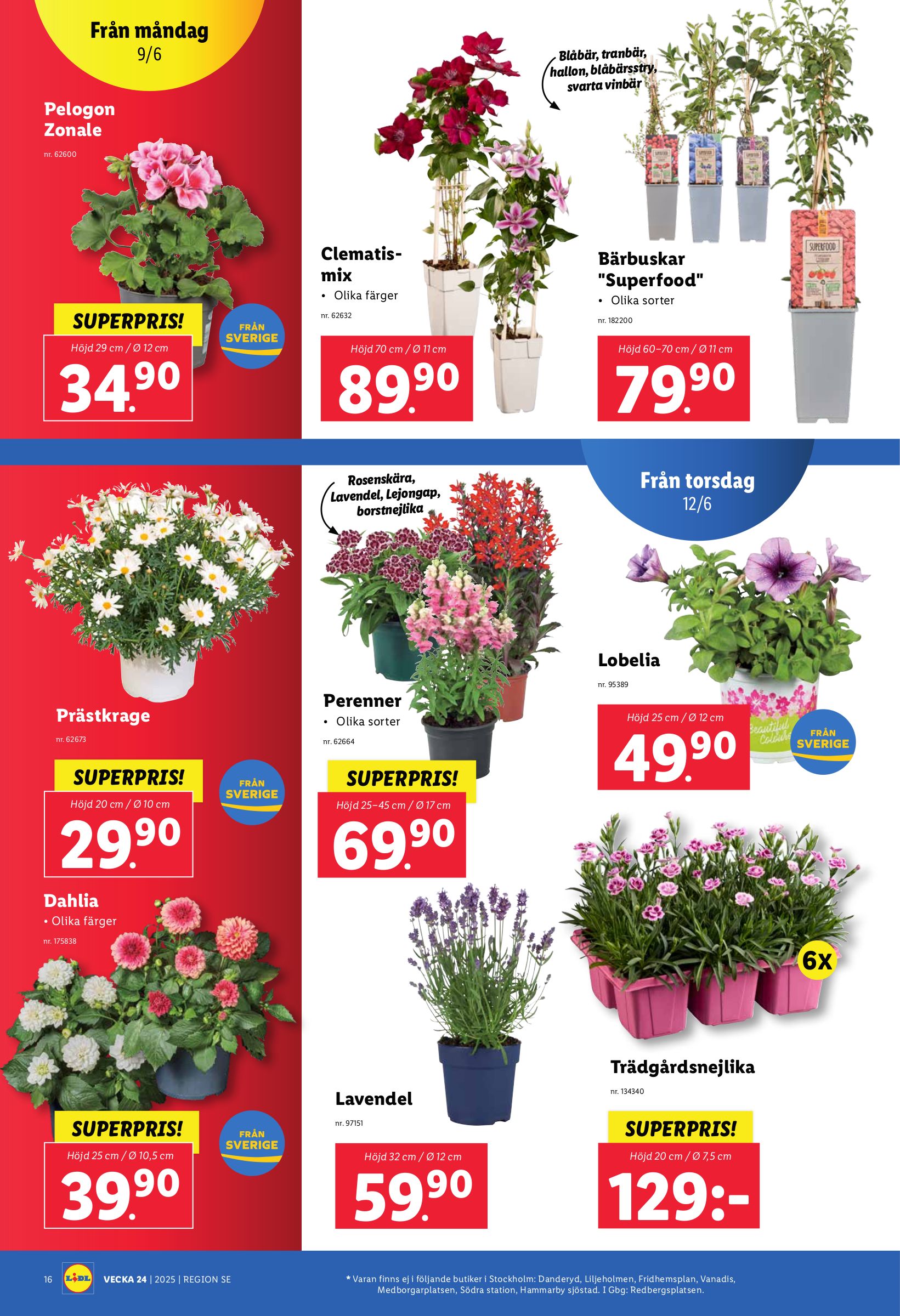 lidl - Lidl-reklambladet giltigt från 09/06 - 15/06 - page: 20