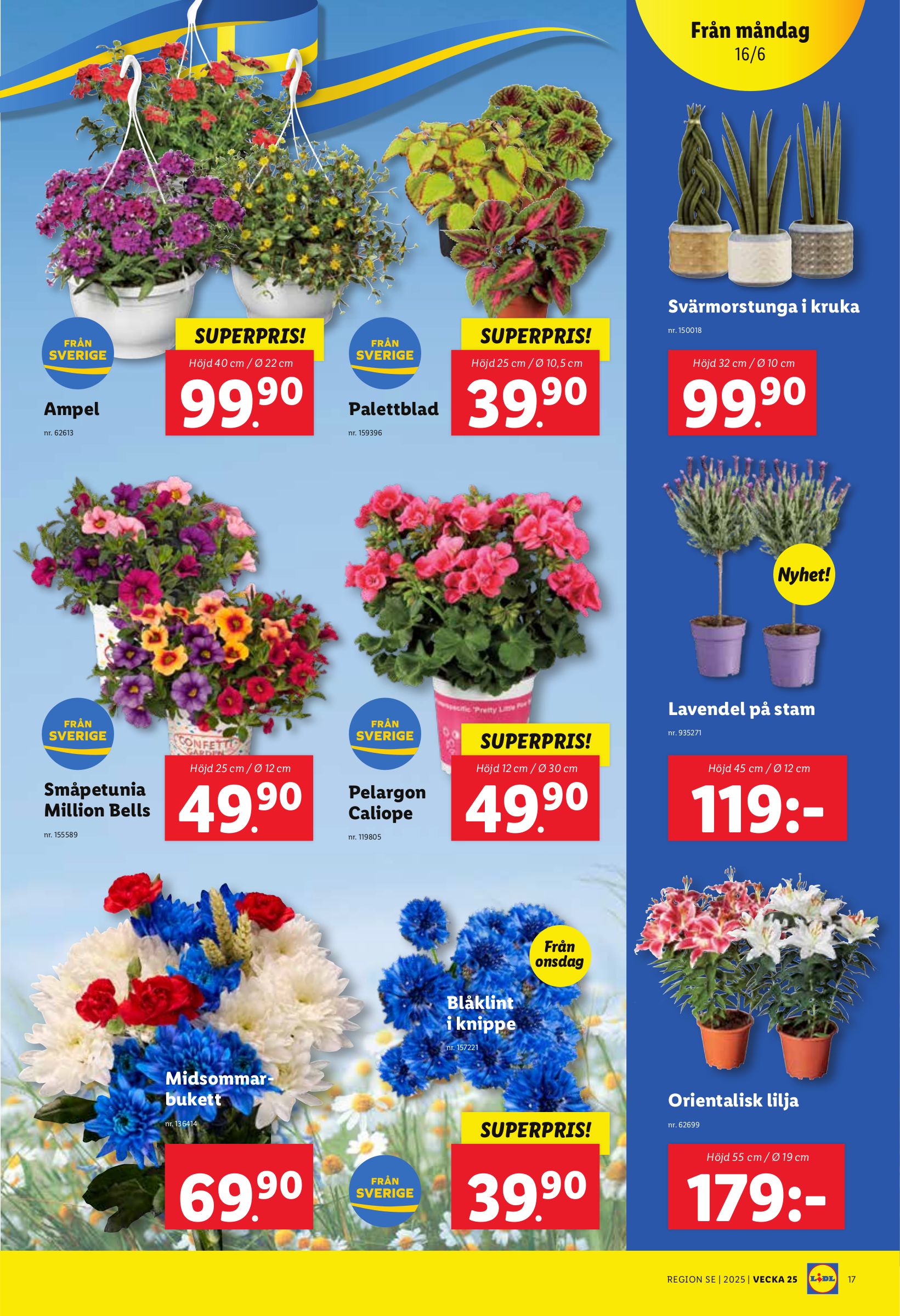 lidl - Lidl-reklambladet giltigt från 16/06 - 22/06 - page: 19