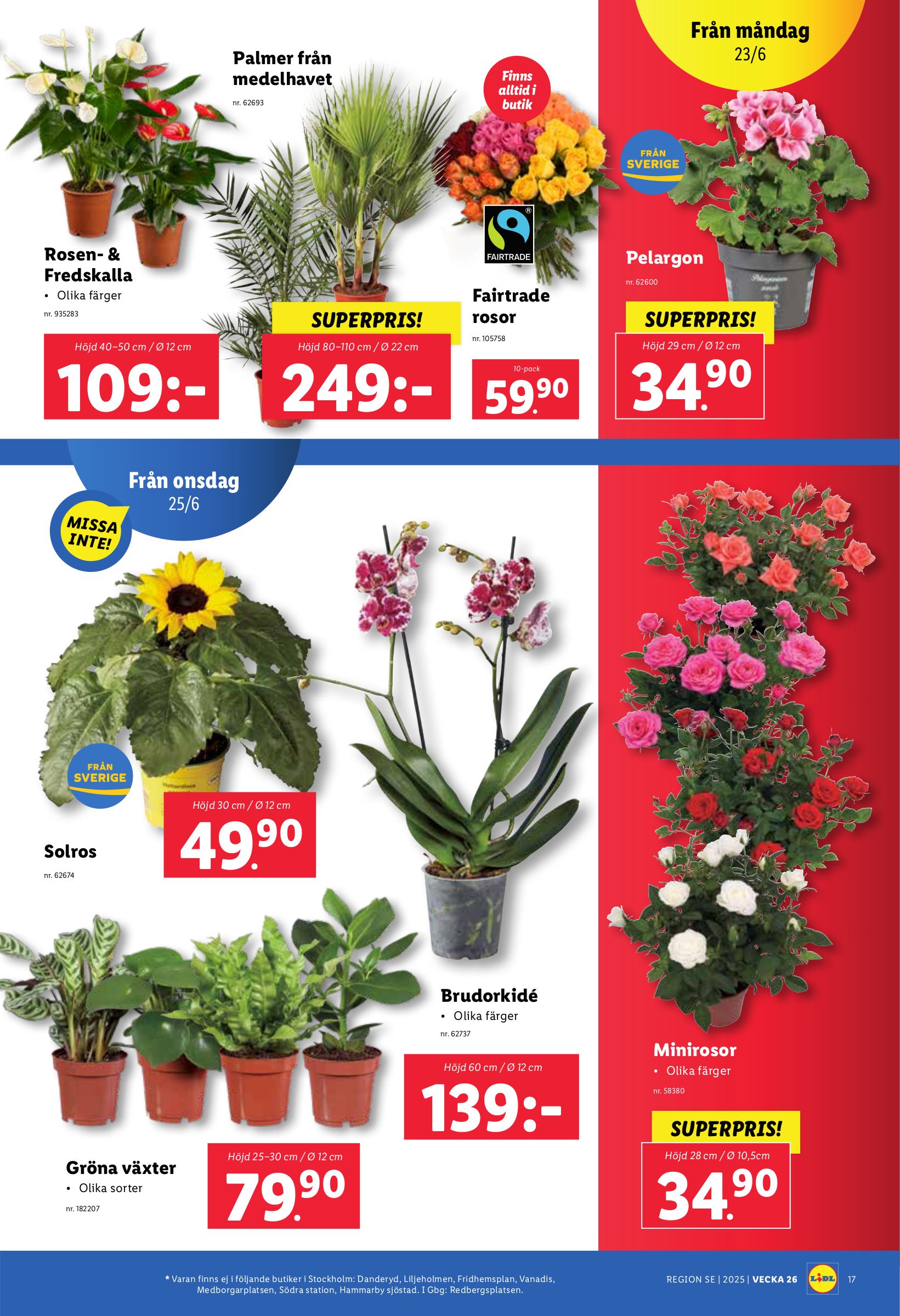 lidl - Lidl-reklambladet giltigt från 23/06 - 29/06 - page: 19