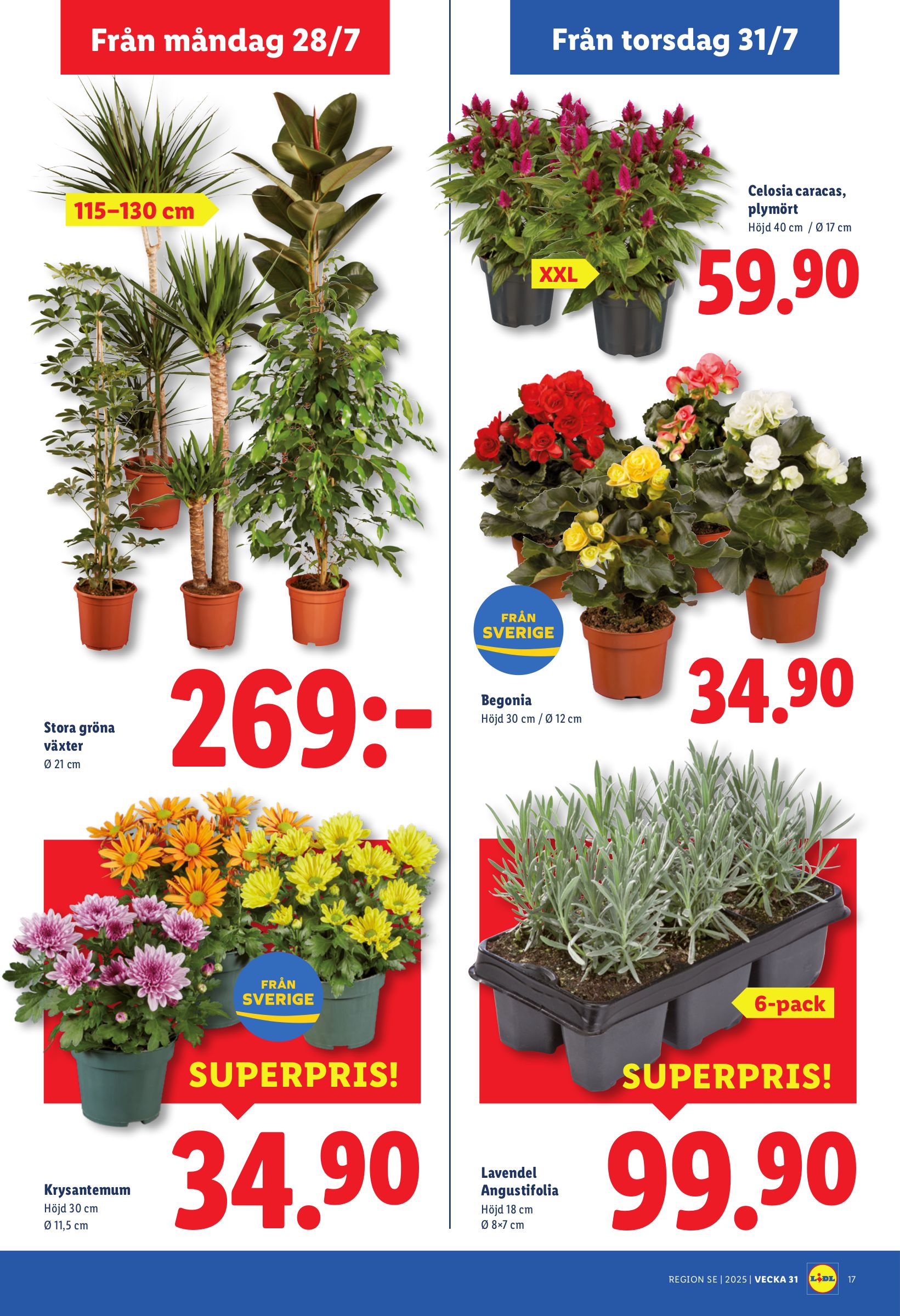lidl - Lidl-reklambladet giltigt från 28/07 - 03/08 - page: 20