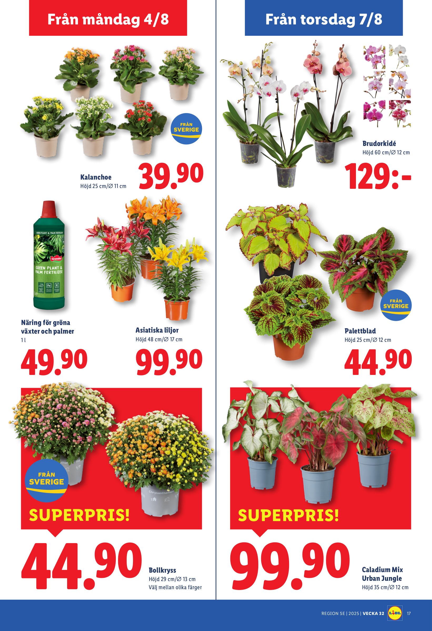 lidl - Lidl-reklambladet giltigt från 04/08 - 10/08 - page: 20